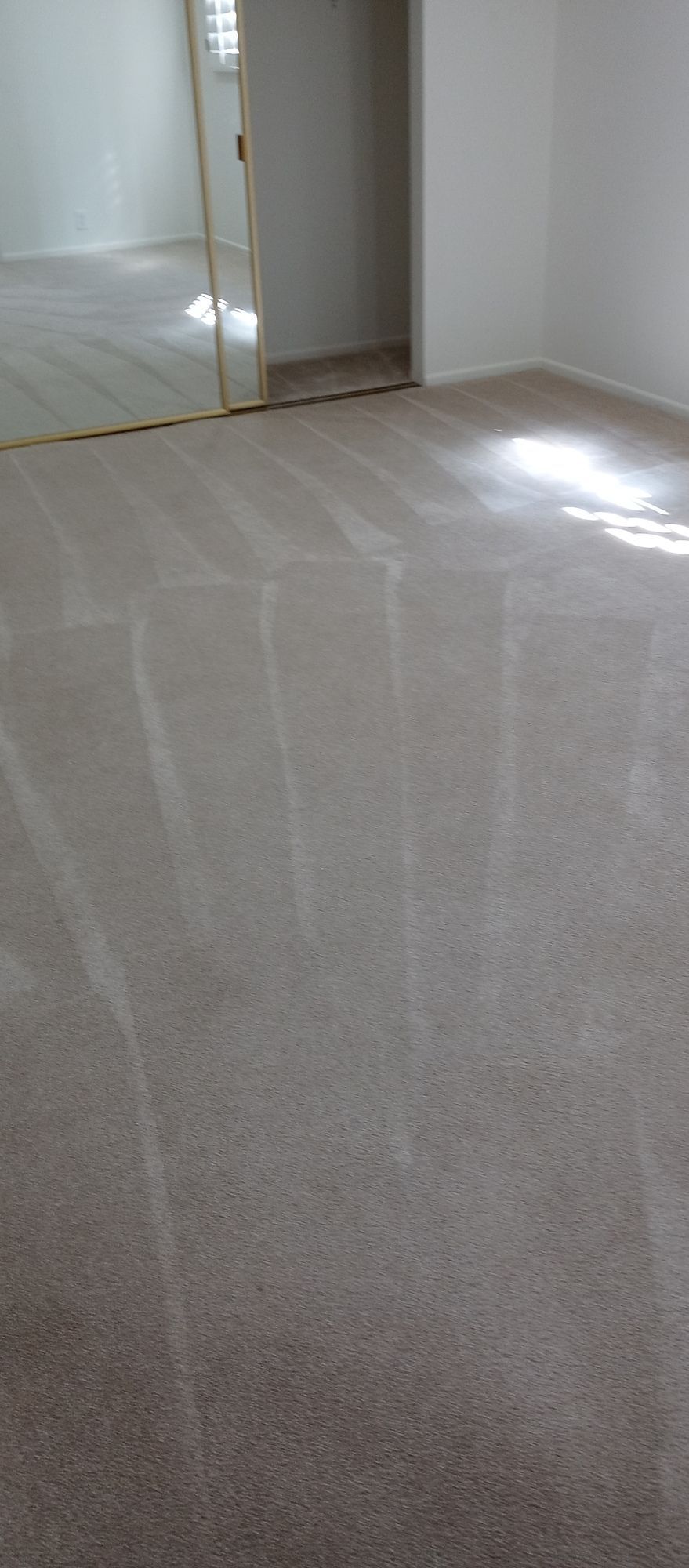 An empty room with a carpeted floor and a mirror.