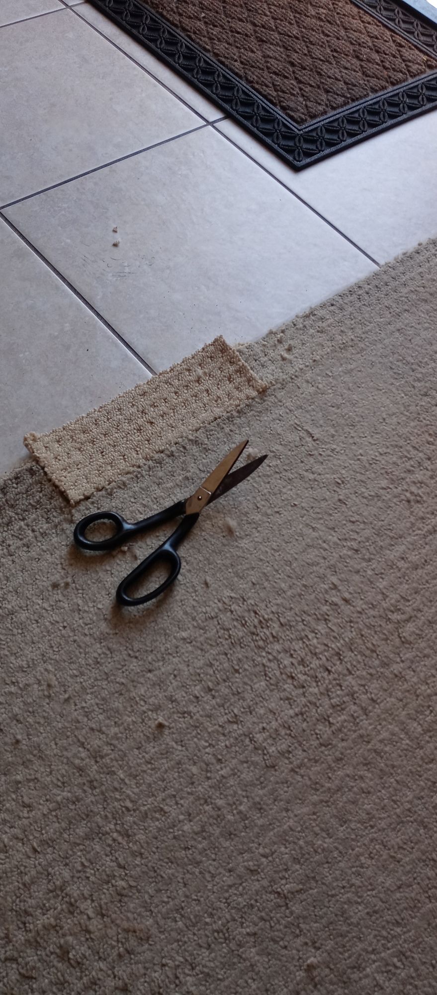 A pair of scissors laying on top of a carpet.