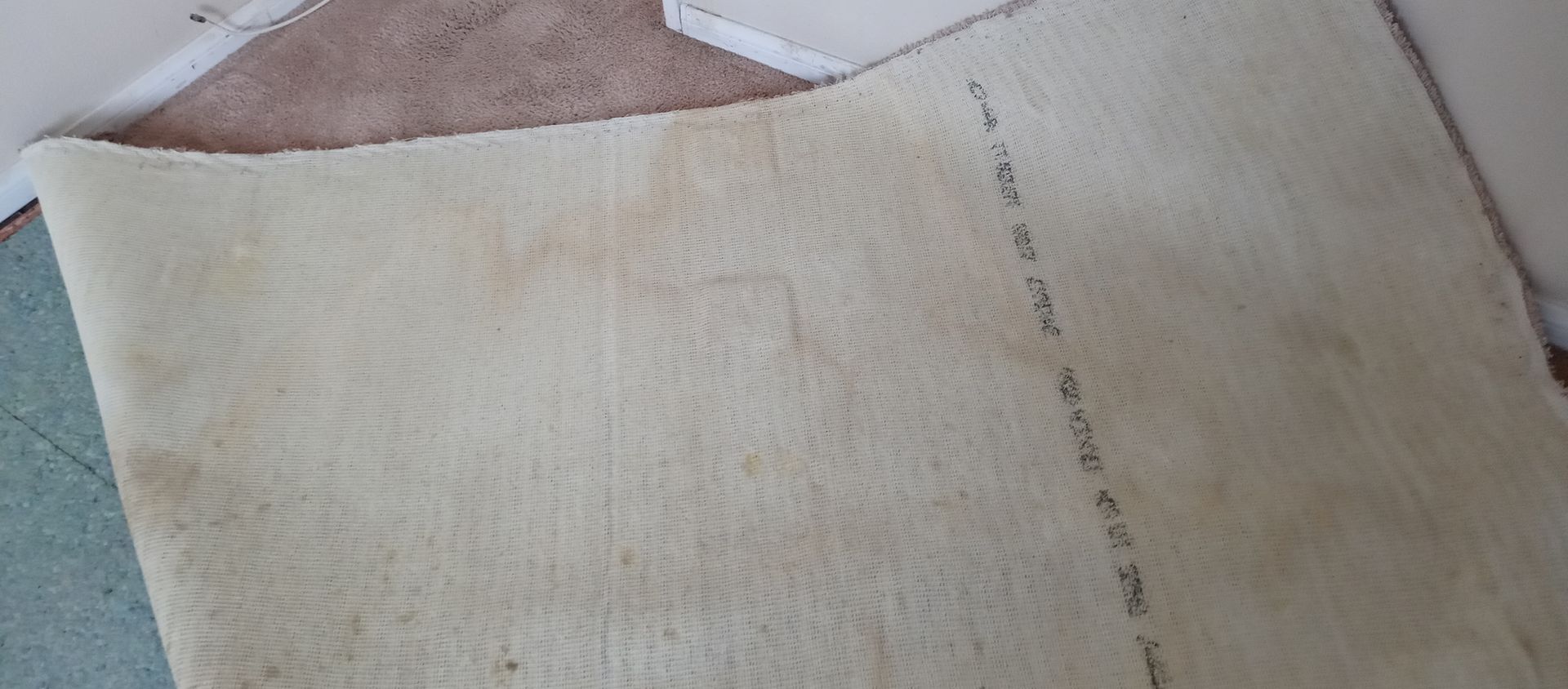 A piece of white fabric is sitting on top of a carpet.