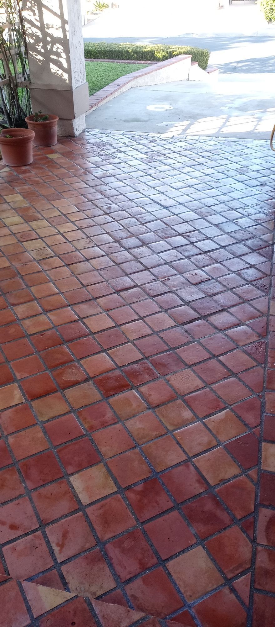 A close up of a tiled floor with potted plants in the background.