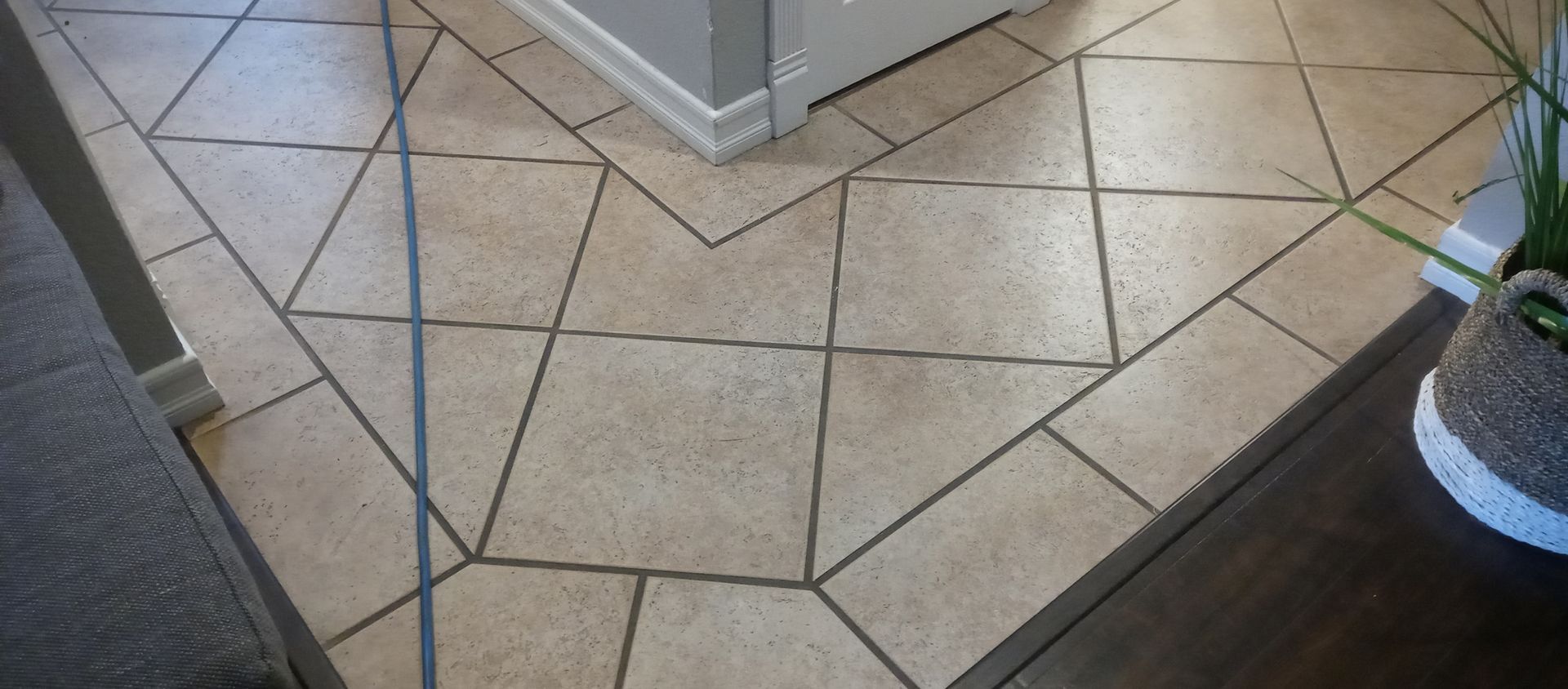 A close up of a tiled floor with a plant in the background.