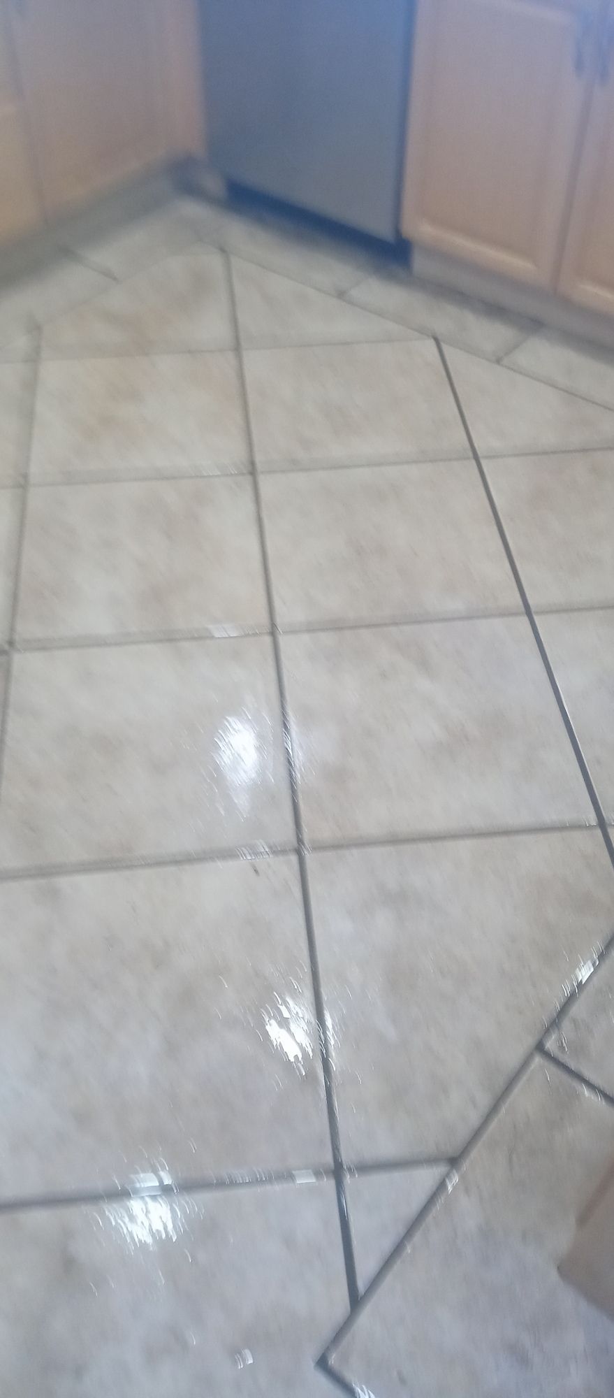 A kitchen floor with tiles and a stainless steel dishwasher.