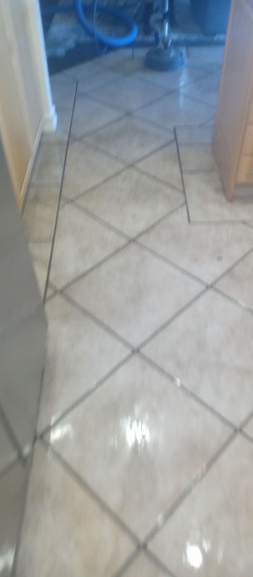 A tiled floor in a kitchen with a bicycle in the background.