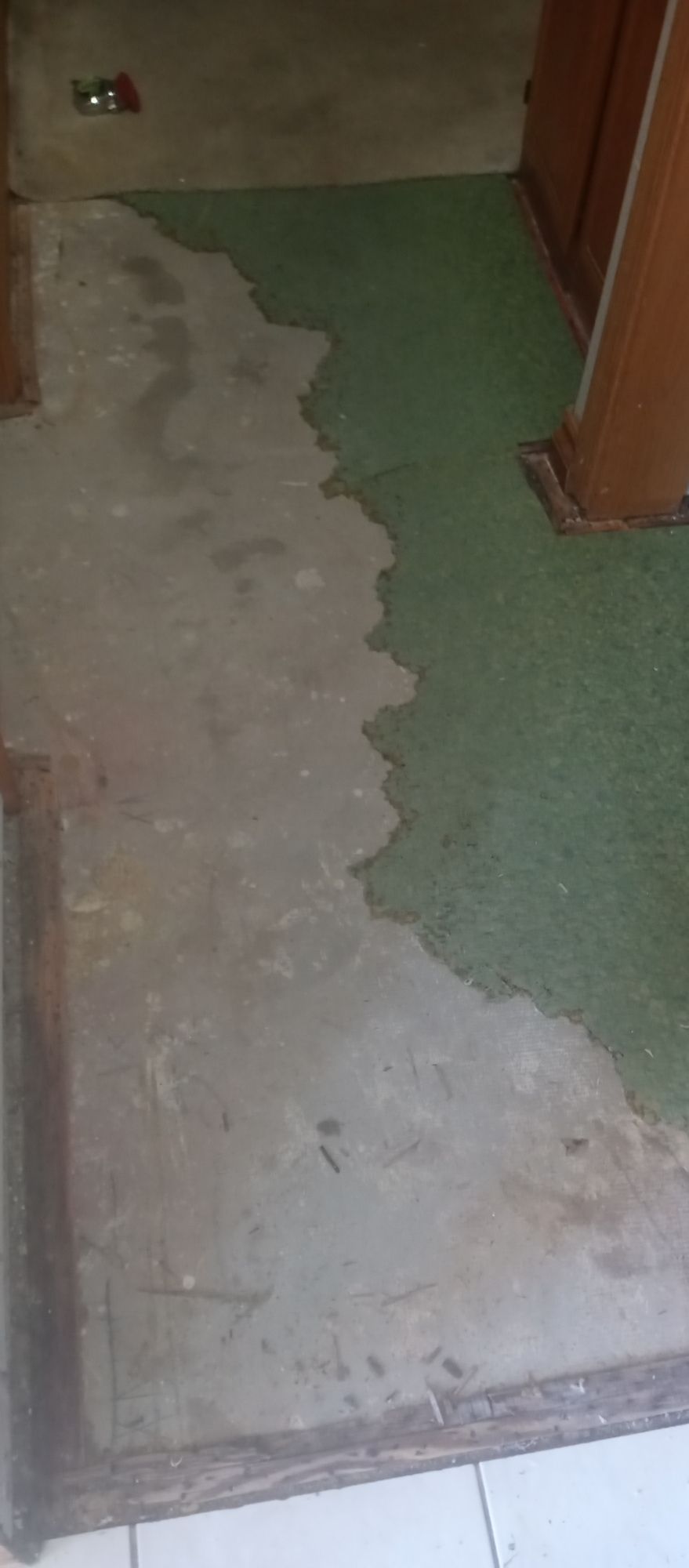 A concrete floor is being painted green in a room.