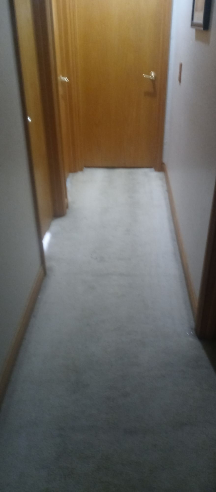 A hallway with a white carpet and wooden doors.