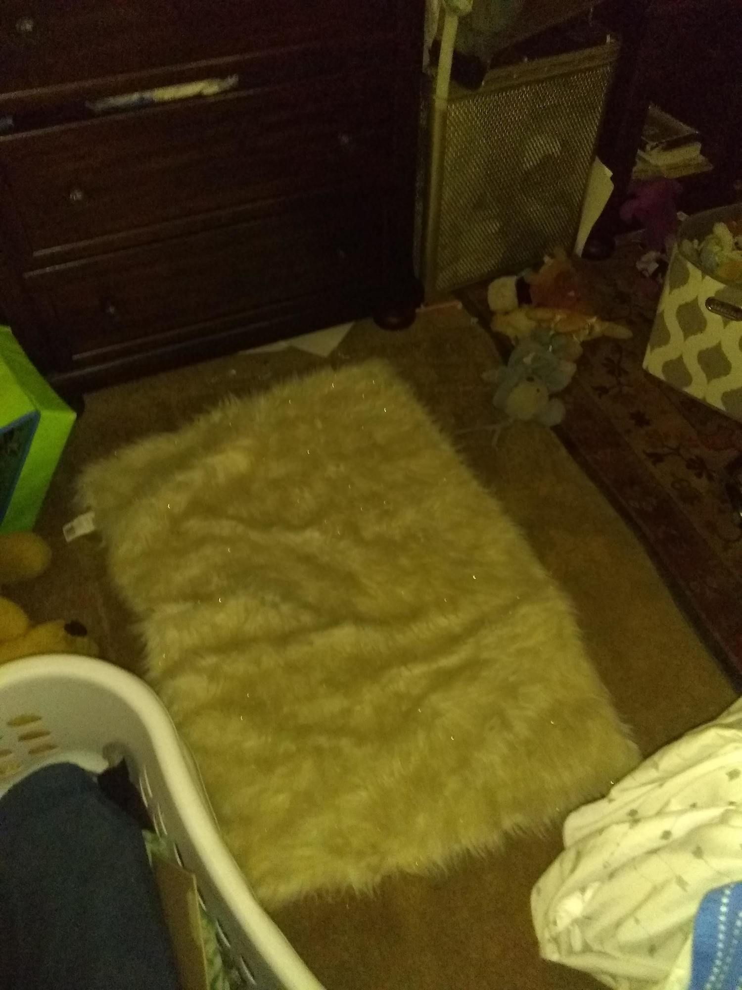 A rug is sitting on the floor in a room next to a crib.