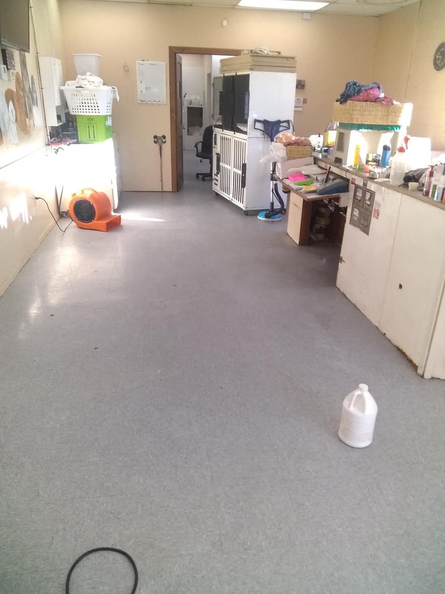 A room with a gray carpet and a white bottle on the floor