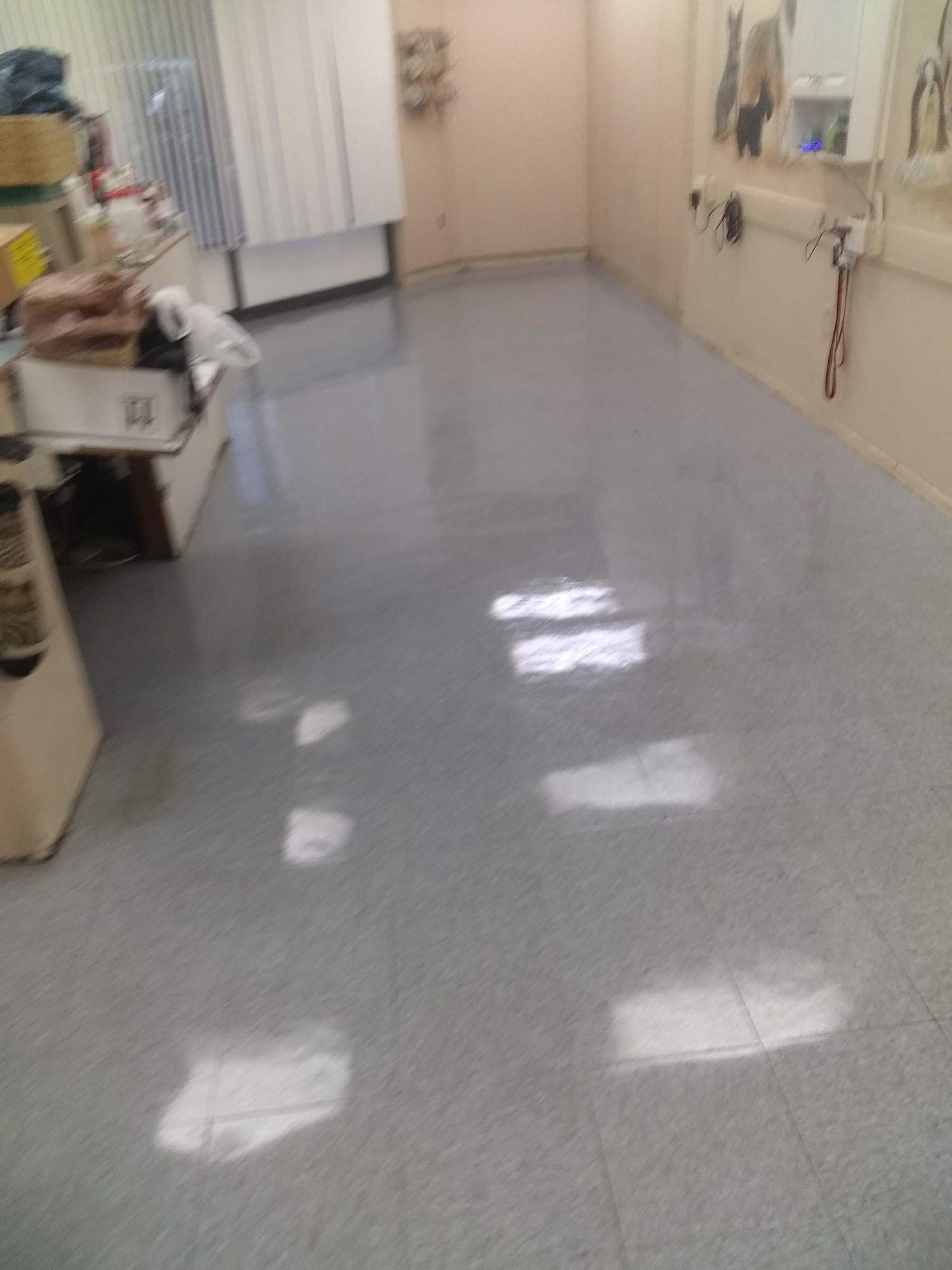 A very clean floor in a room with a lot of light coming through the windows.