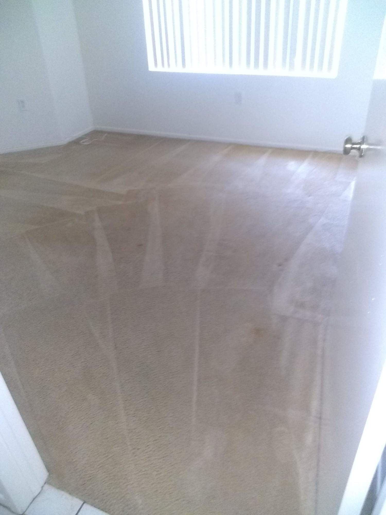 A room with a carpeted floor and a window.