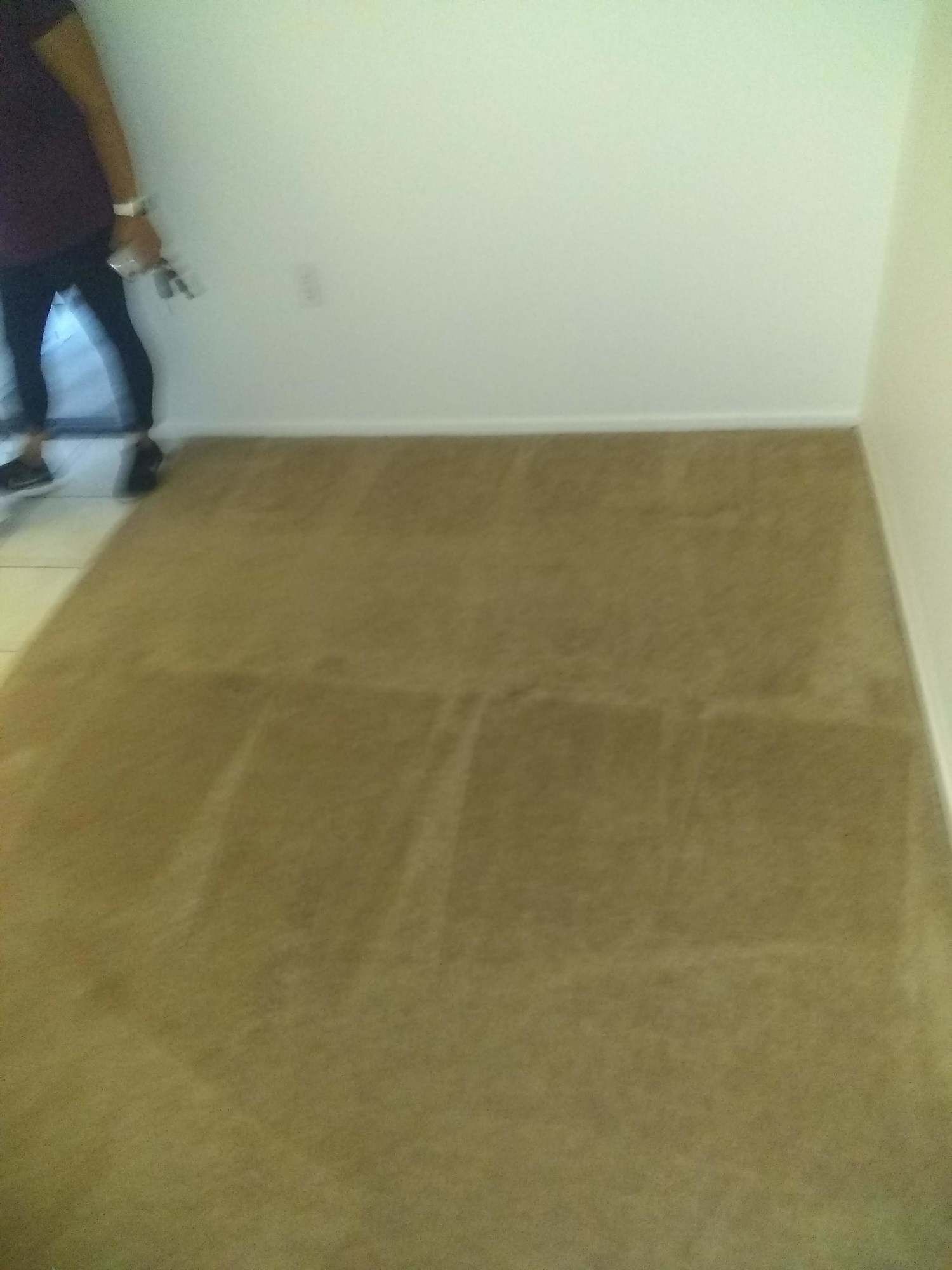 A person is standing on a carpeted floor in a room.
