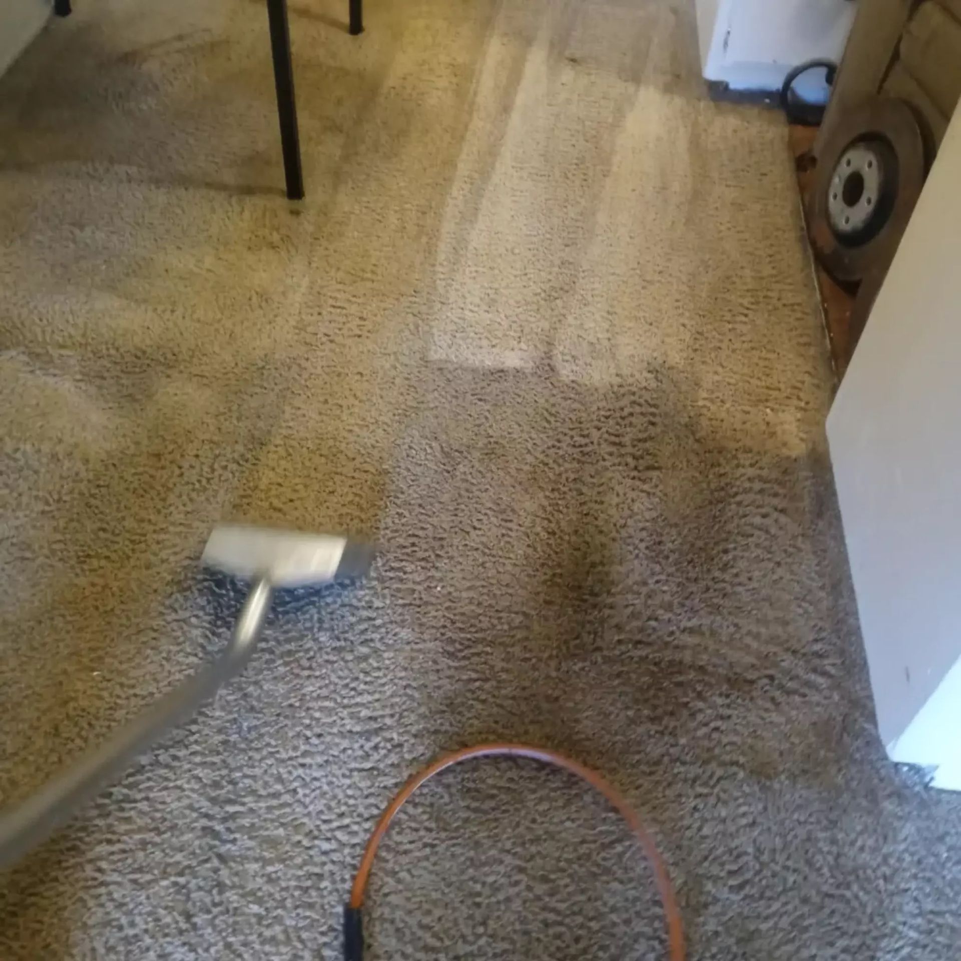 A vacuum cleaner is being used to clean a carpet