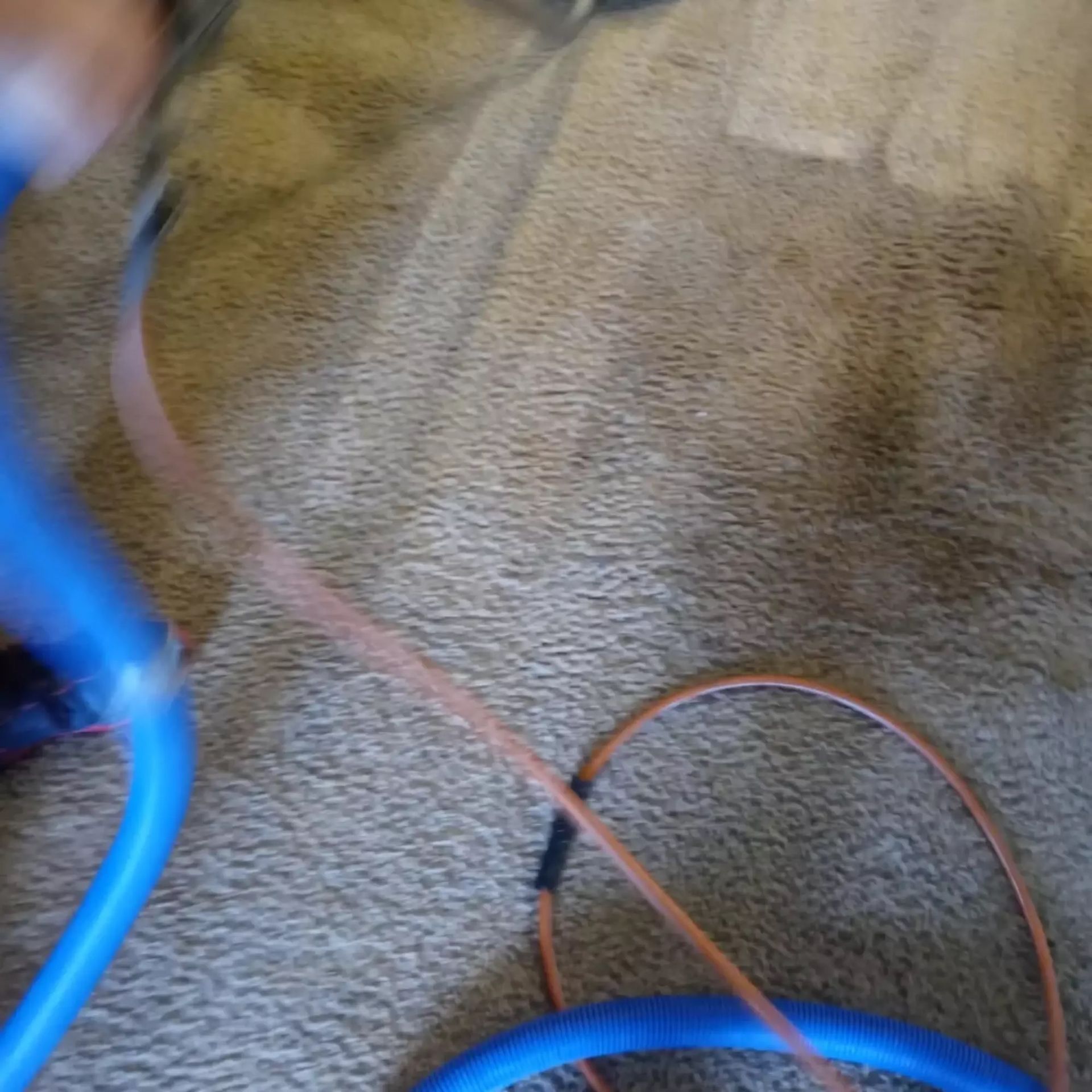 A person is cleaning a carpet with a vacuum cleaner.