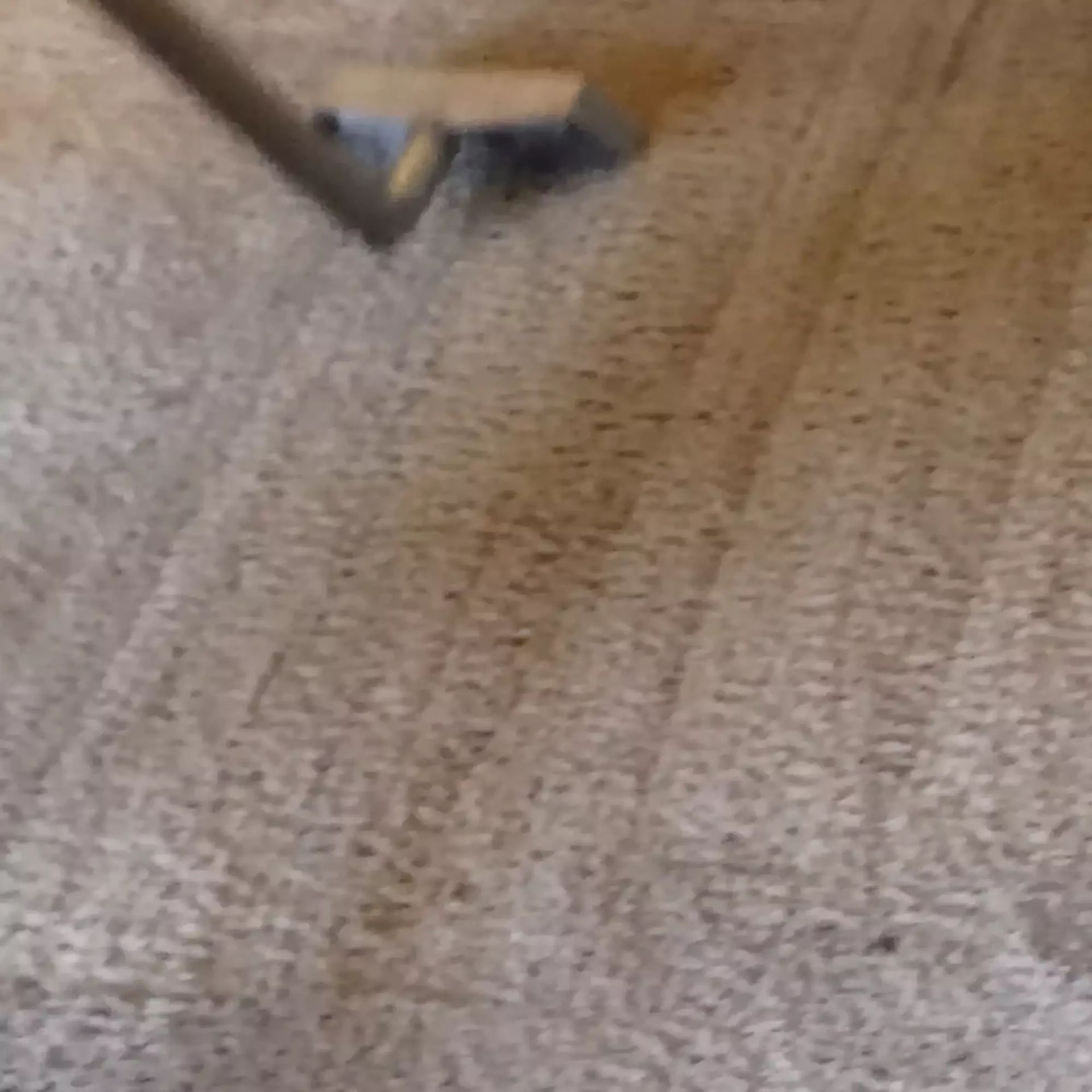 A person is cleaning a carpet with a vacuum cleaner.