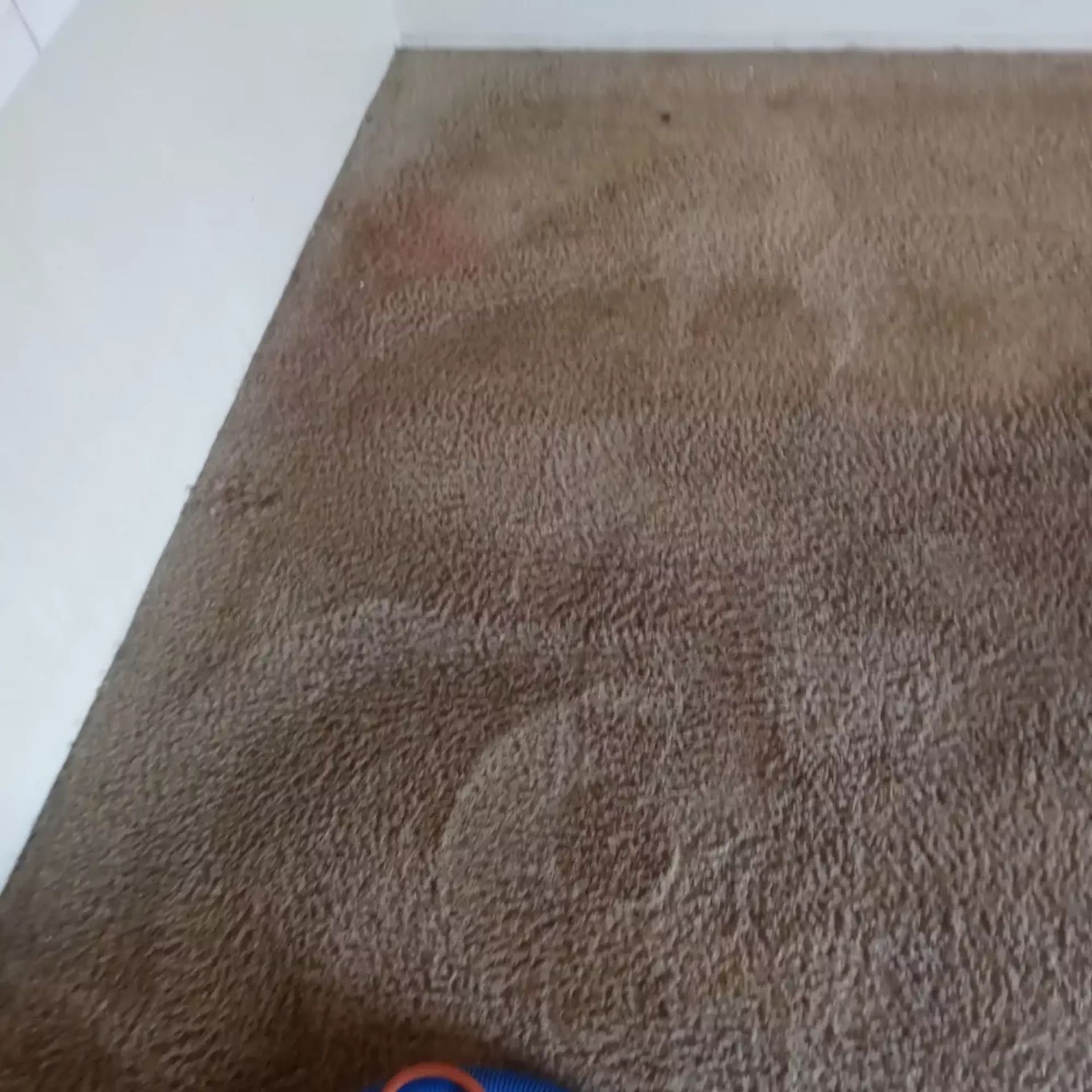 A person is standing on a brown carpet in a room.