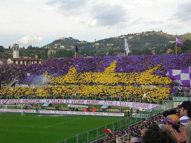 coreografia viola e gialla