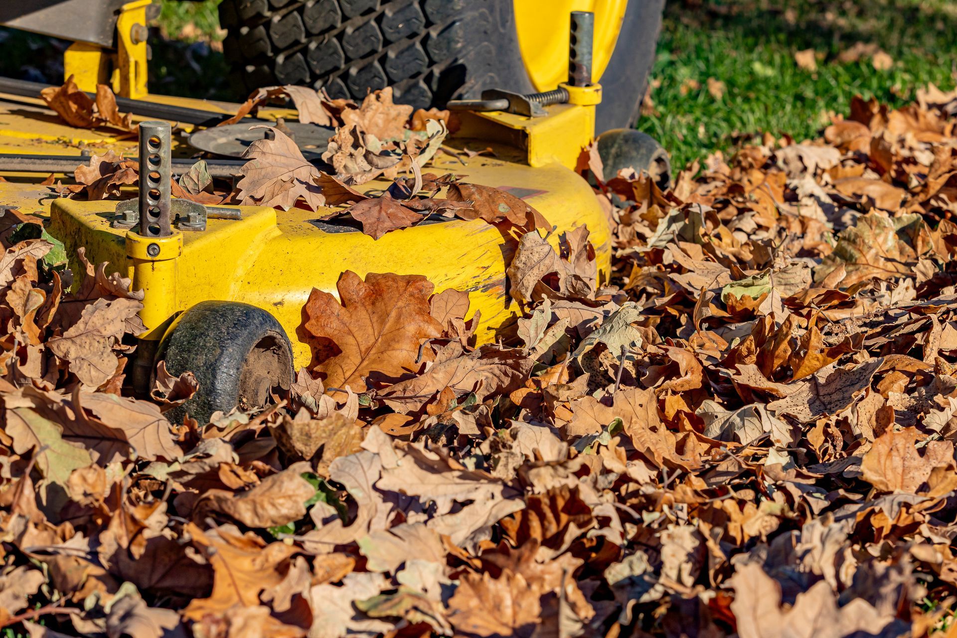 A Yellow Lawn Mower Is Cutting Through A Pile Of Leaves | North Alabama | Mattox Lawn Care & Landscaping