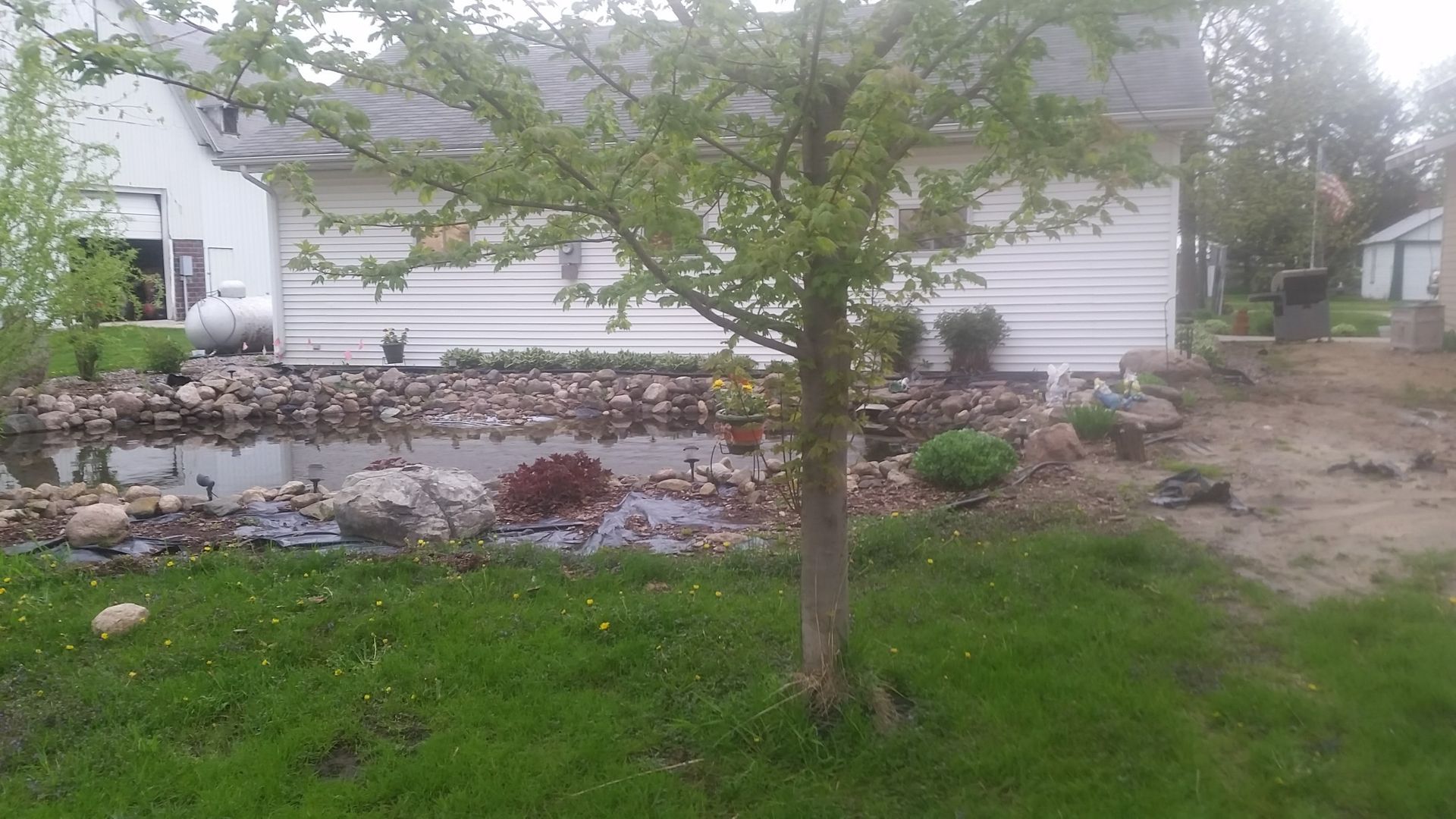 A small pond surrounded by rocks and landscaping plants in front of a white house with a propane tank in the yard.