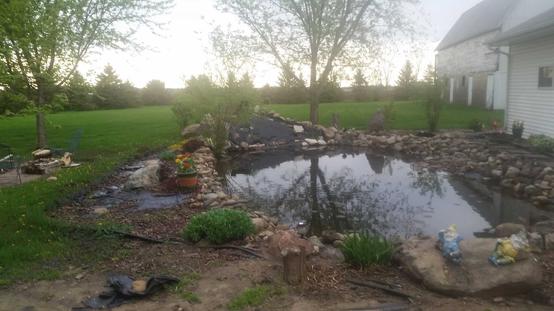 A backyard pond with rock landscaping, small shrubs, and two garden gnome figurines, set in a grassy yard near a house.