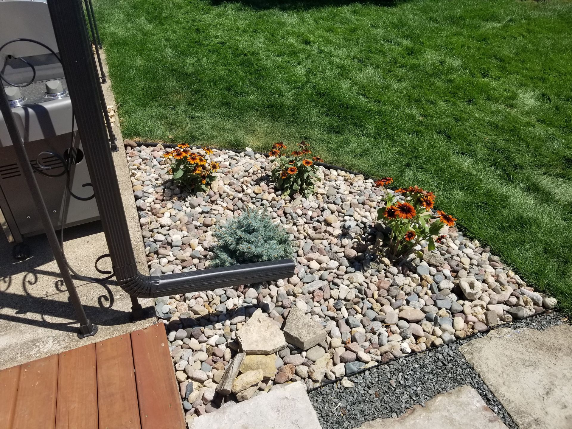 A rock garden bed featuring orange flowers, a small blue-green shrub, a downspout, and patio stones against a grassy lawn.