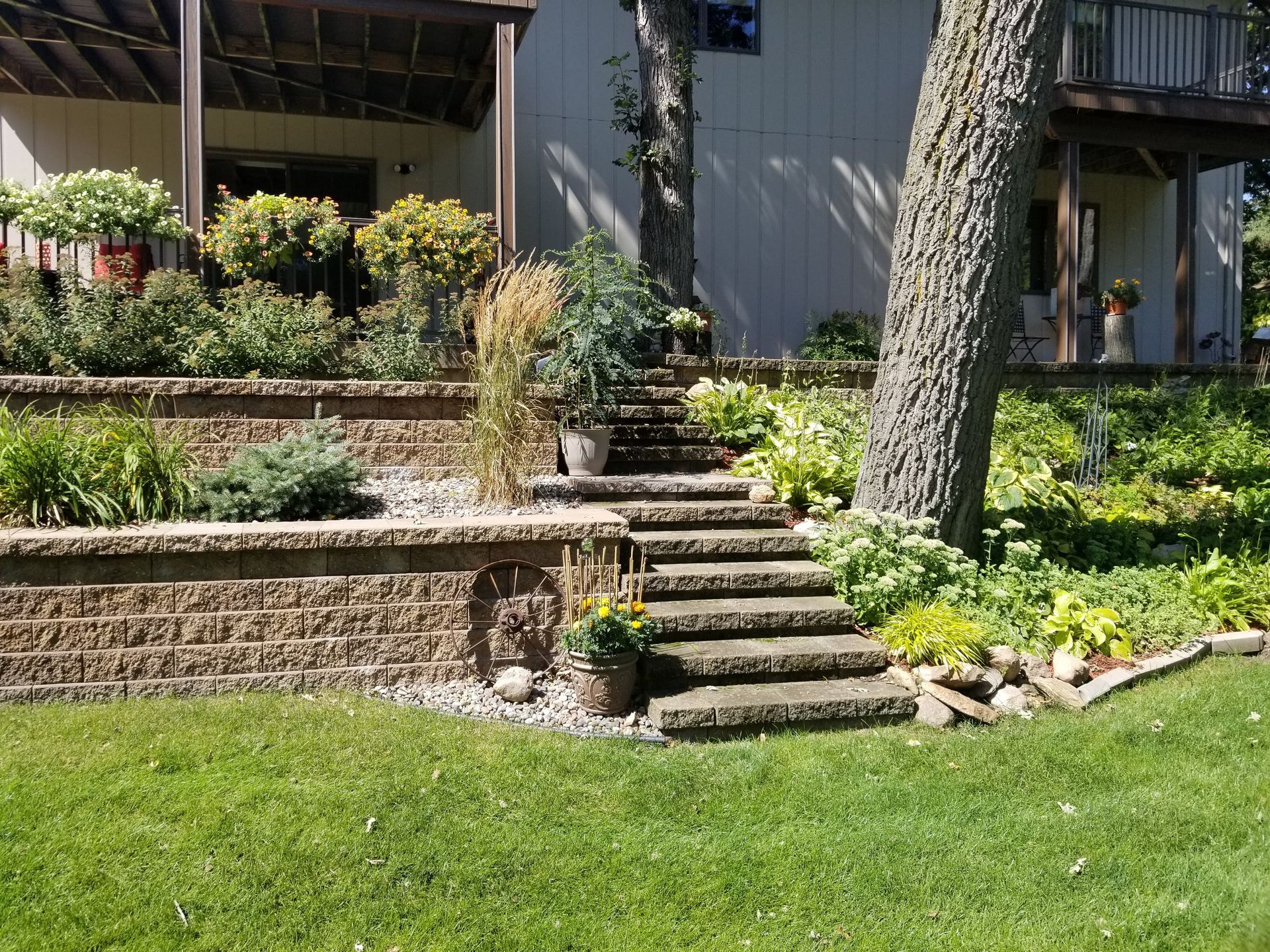 A tiered garden landscape featuring a stone staircase, retaining walls, lush green plants, and a large tree by a house.