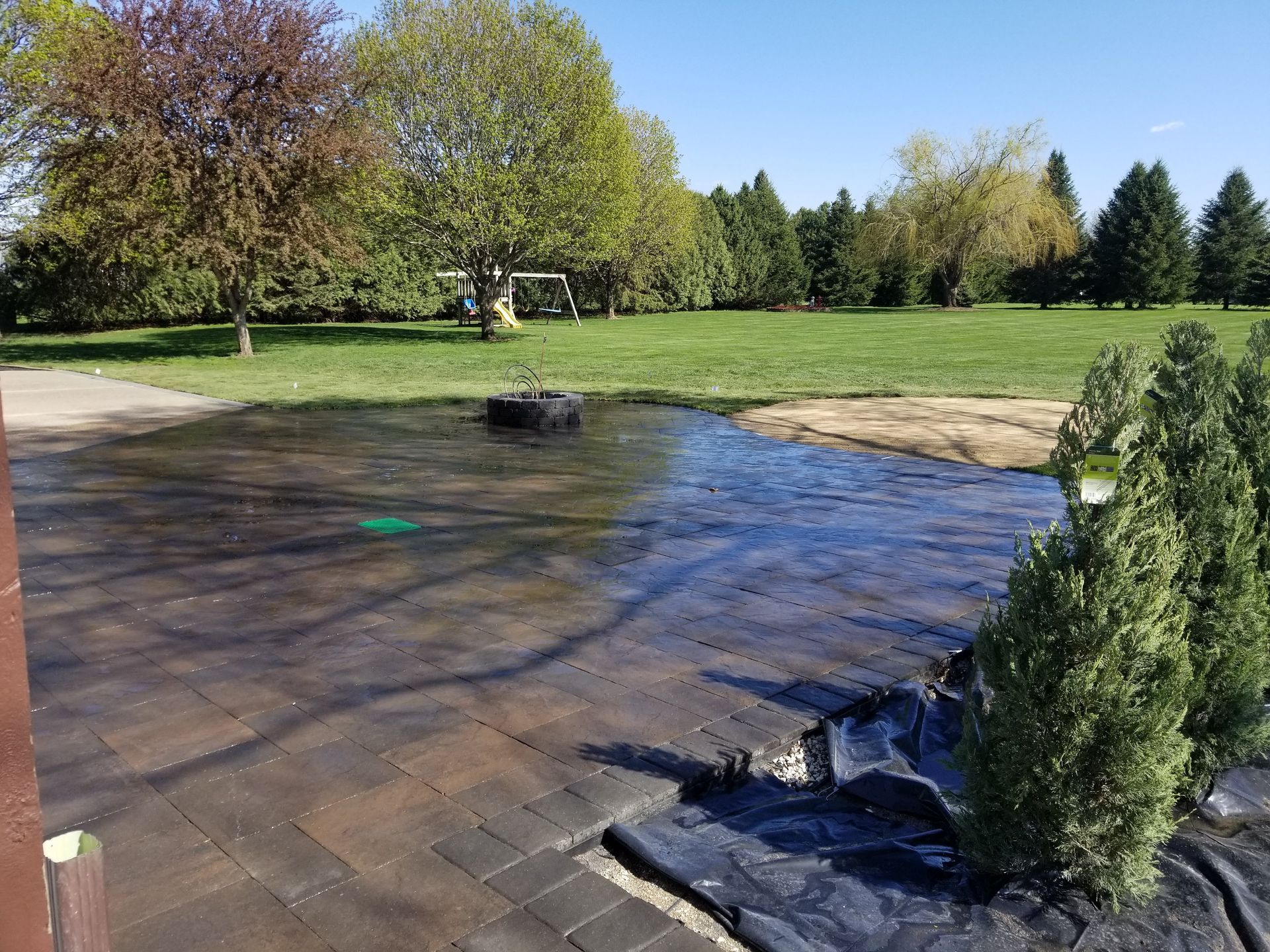 A wet, newly installed paver patio next to a grass lawn, with young evergreen trees planted on a black landscape fabric.