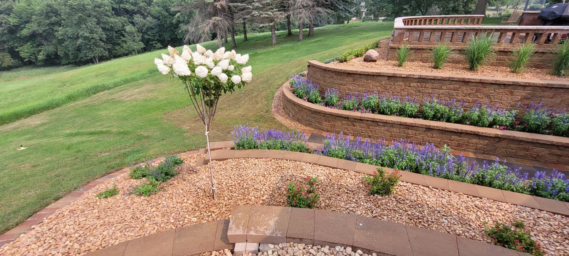 A terraced stone retaining wall with tiered garden beds, purple flowers, and a white hydrangea bush in a grassy landscape.