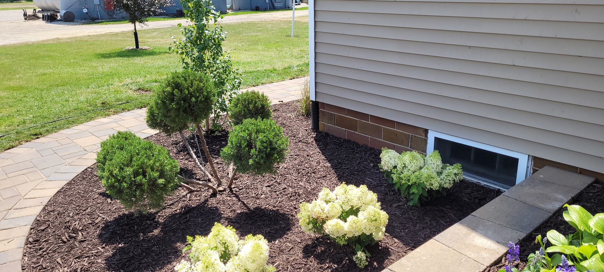 A landscaped bed with globe-shaped shrubs, a small upright tree, and light-colored hydrangea bushes beside a tan house.