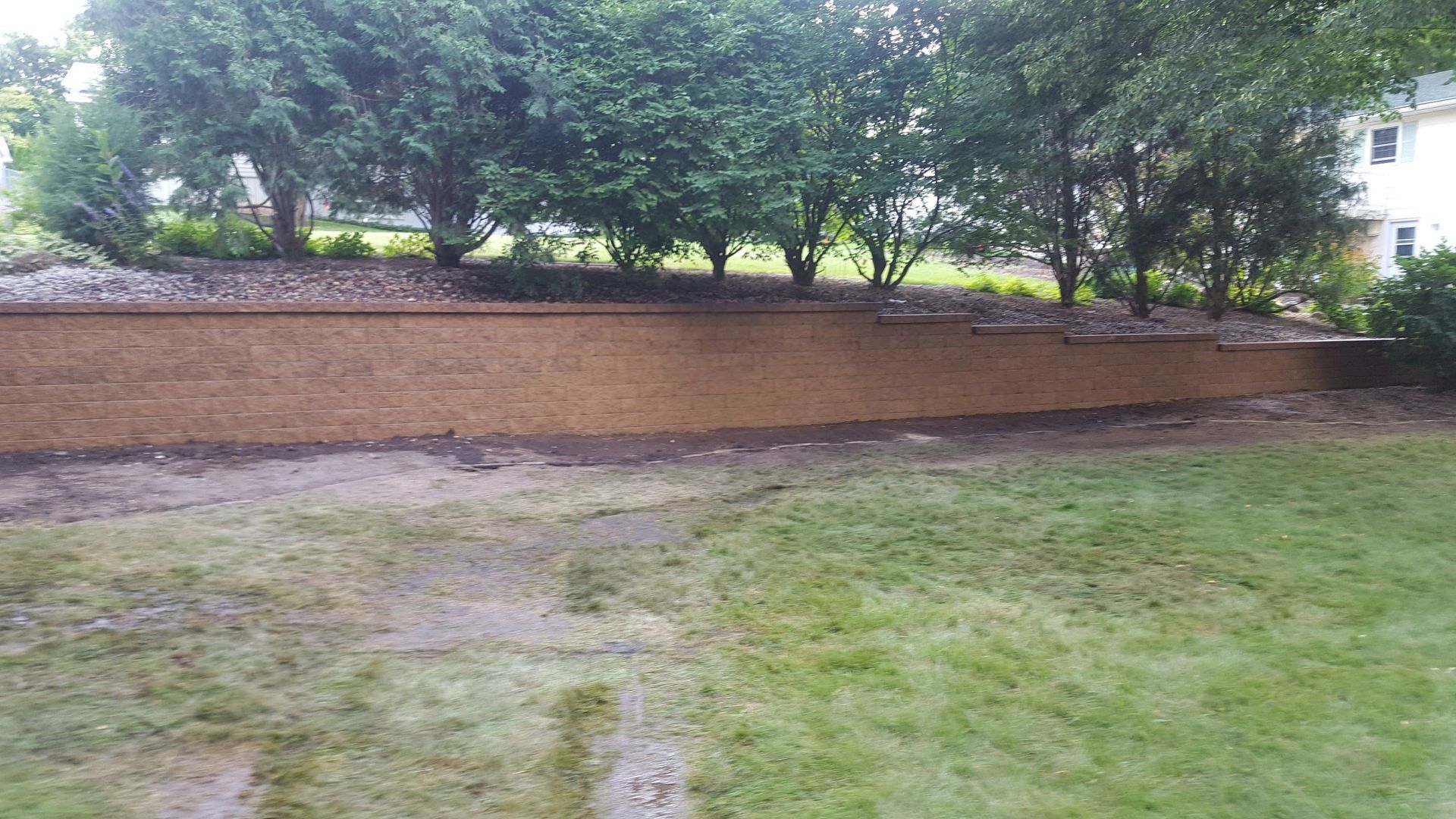 A stone retaining wall sits at the edge of a grassy lawn, backed by a line of trees and foliage.