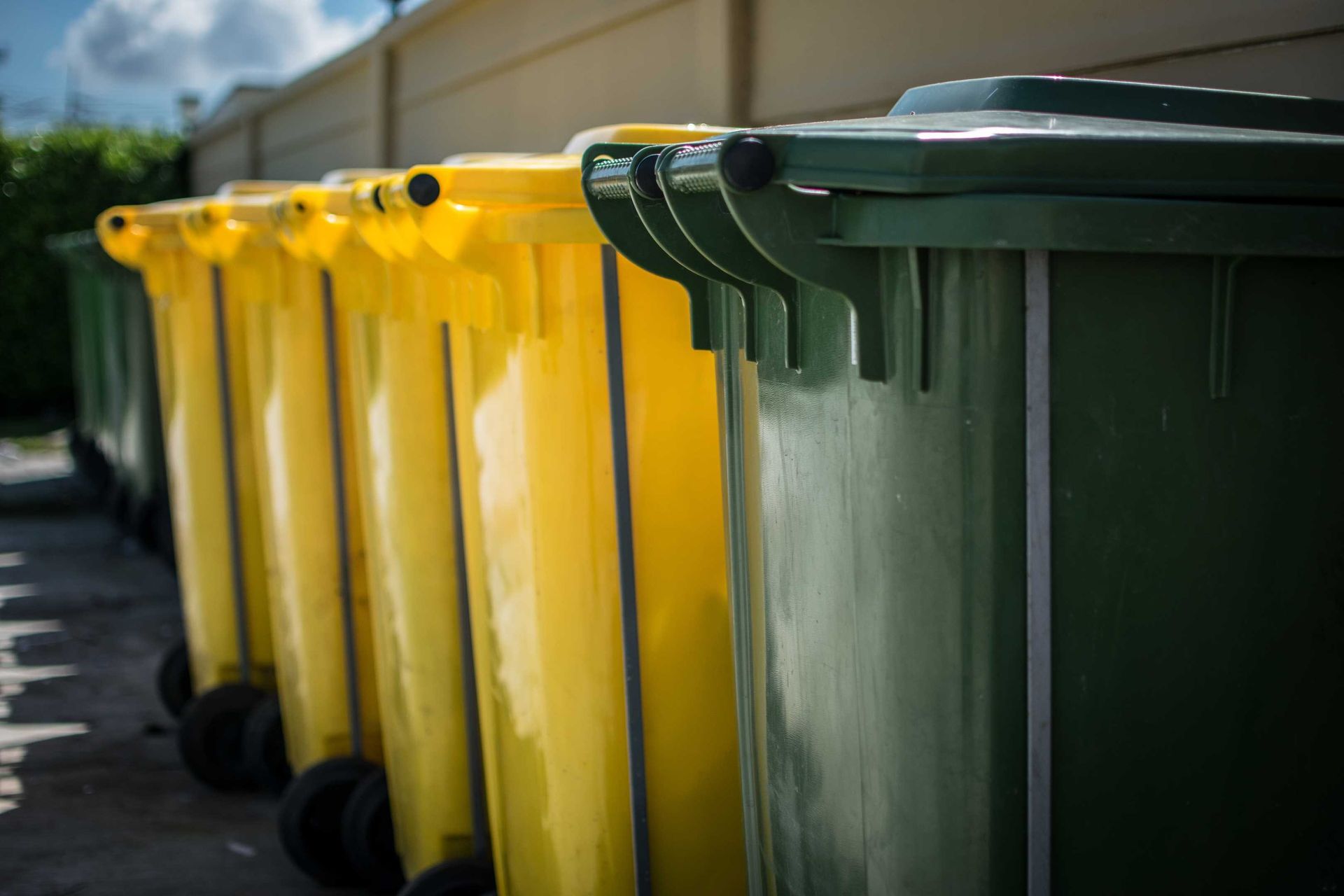 Yellow and green trash bins lined up outdoors.