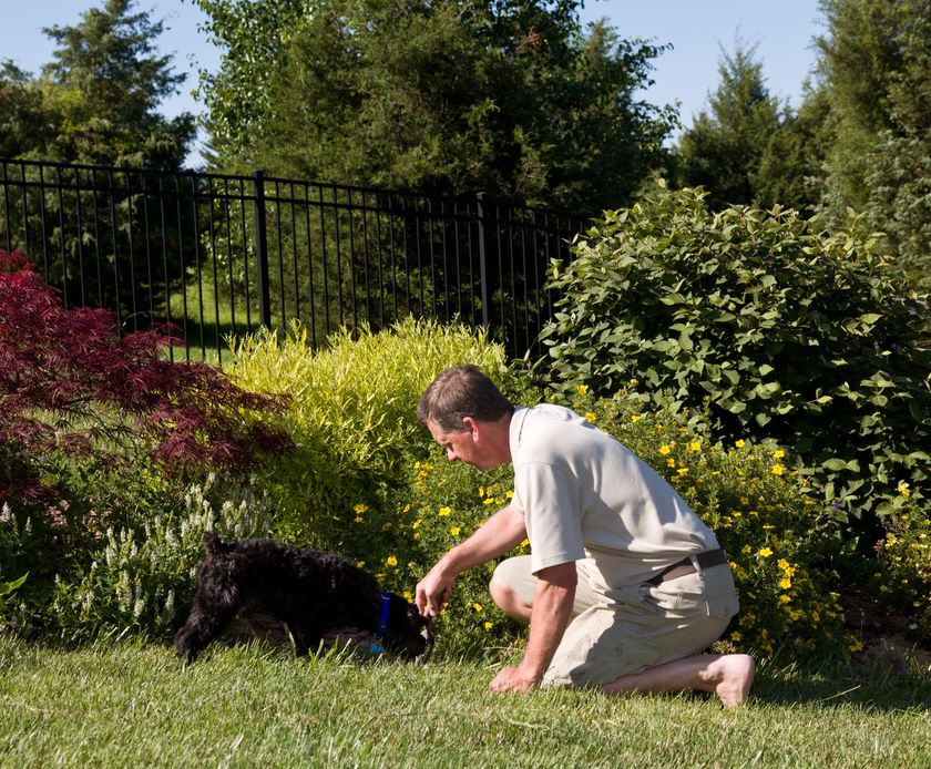 man on the garden with his pet