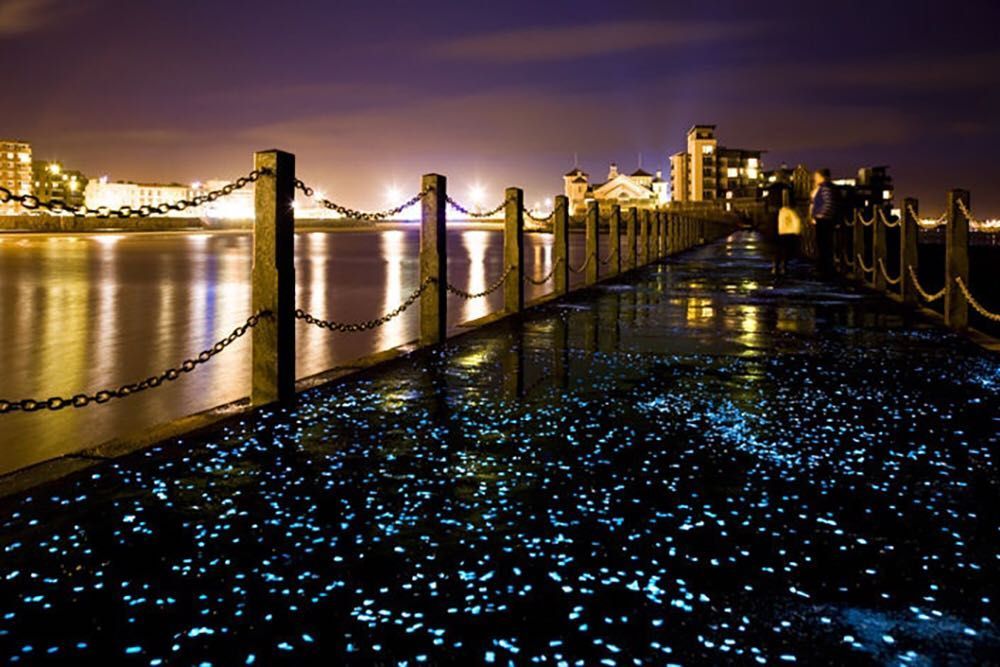 Un ponte sopra uno specchio d'acqua di notte con luci blu sul terreno.