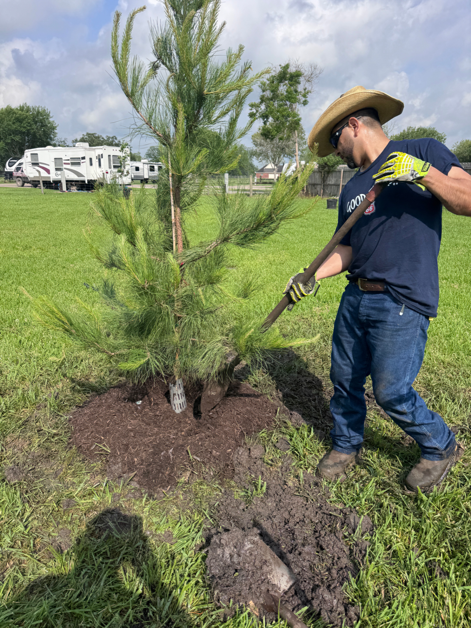 A man is planting a tree in a field with a shovel.