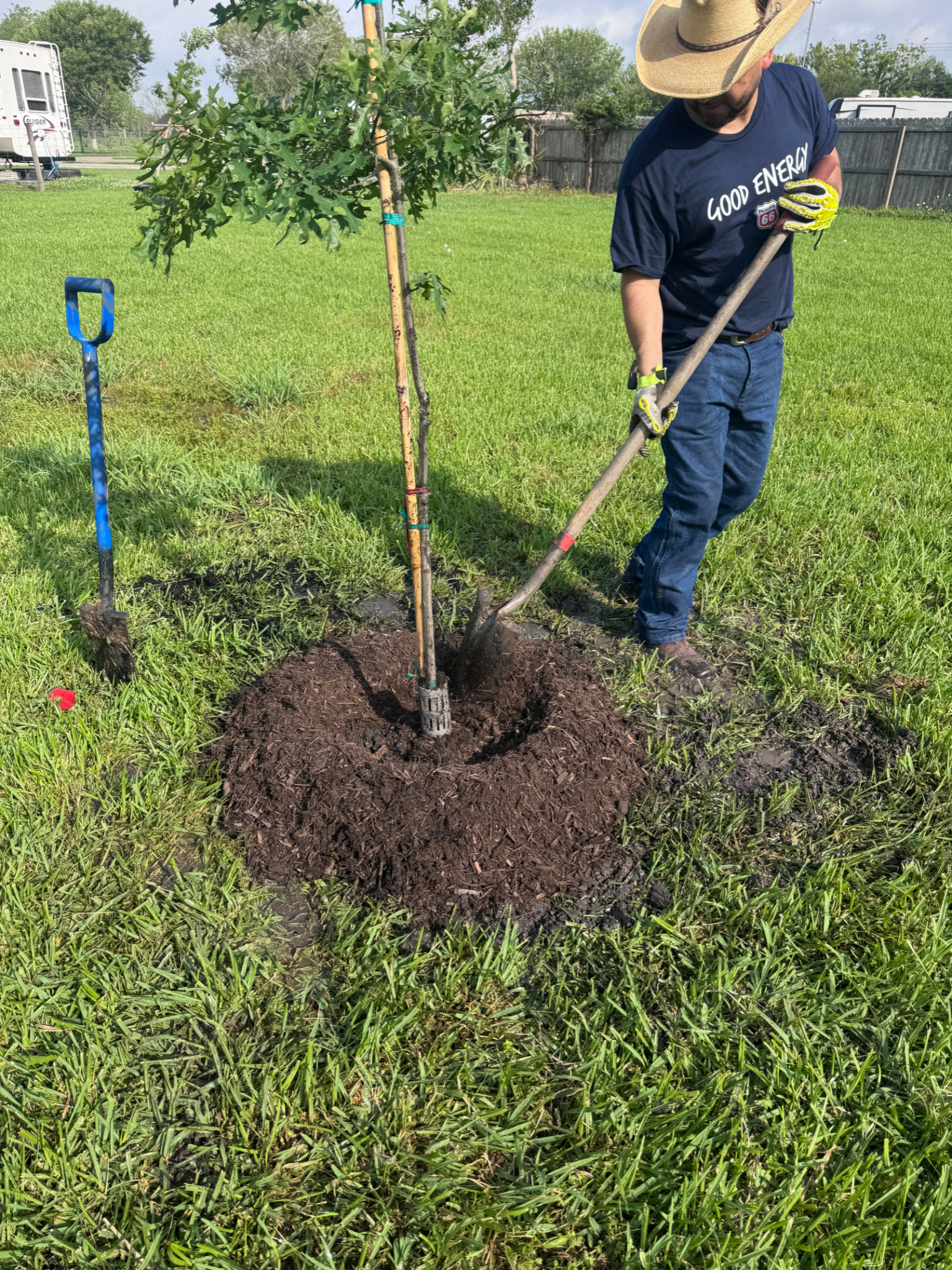 A man is digging in the grass in a park with a dog.