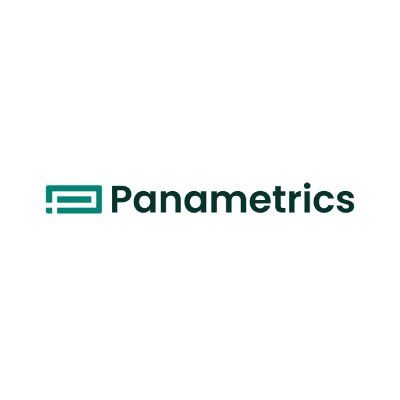 Logo - Panametrics