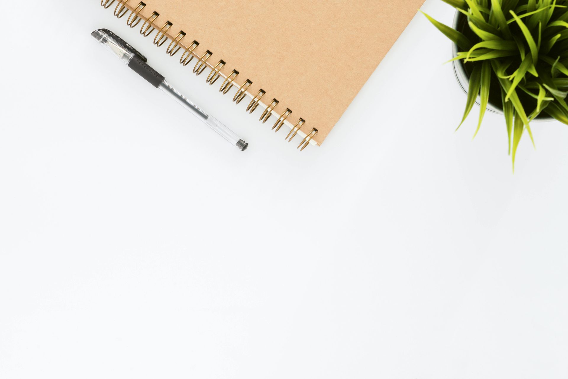 A spiral notebook with a pen and a potted plant on a white table.