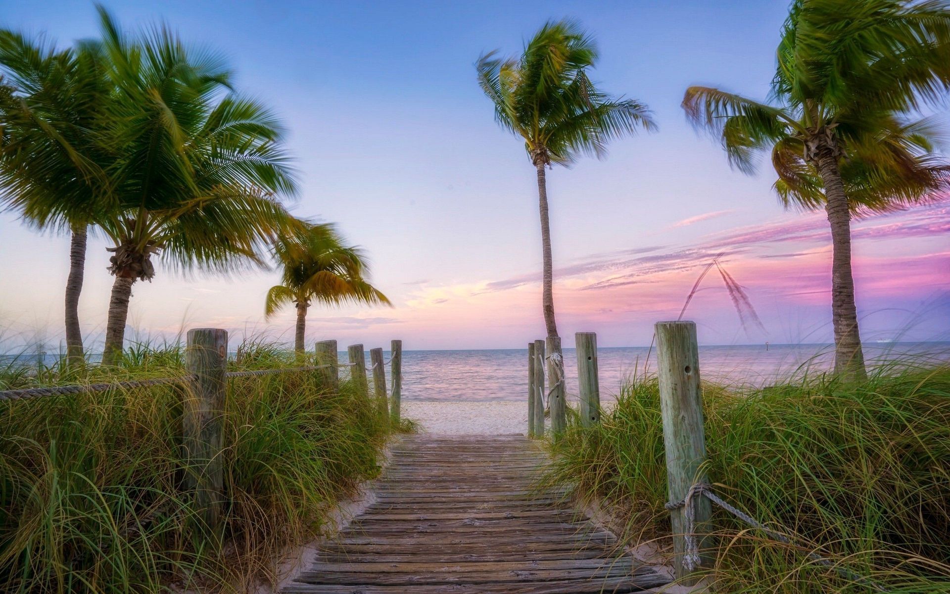 A wooden walkway leading to the beach with palm trees.