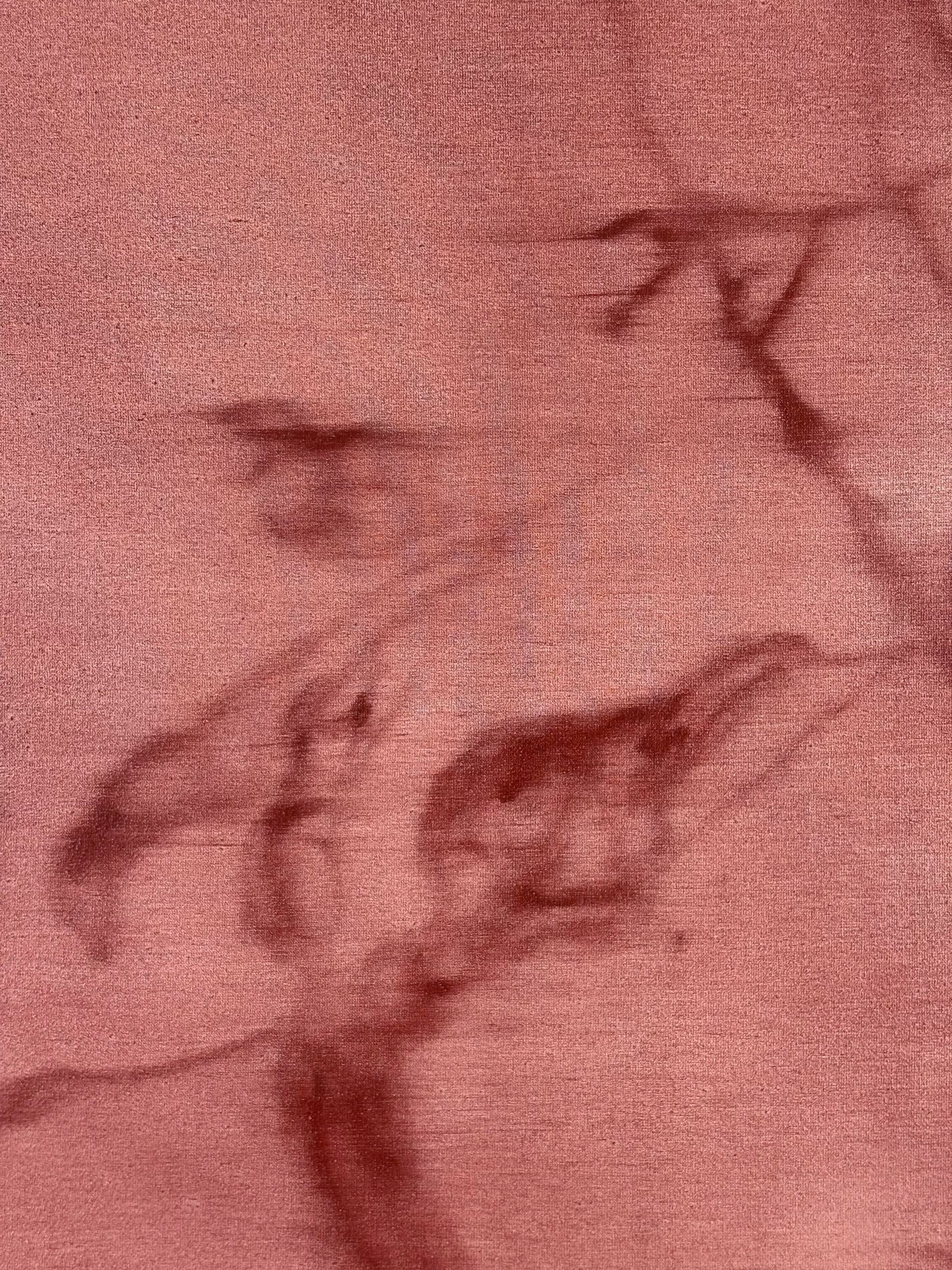 Fragile thought           *Read description