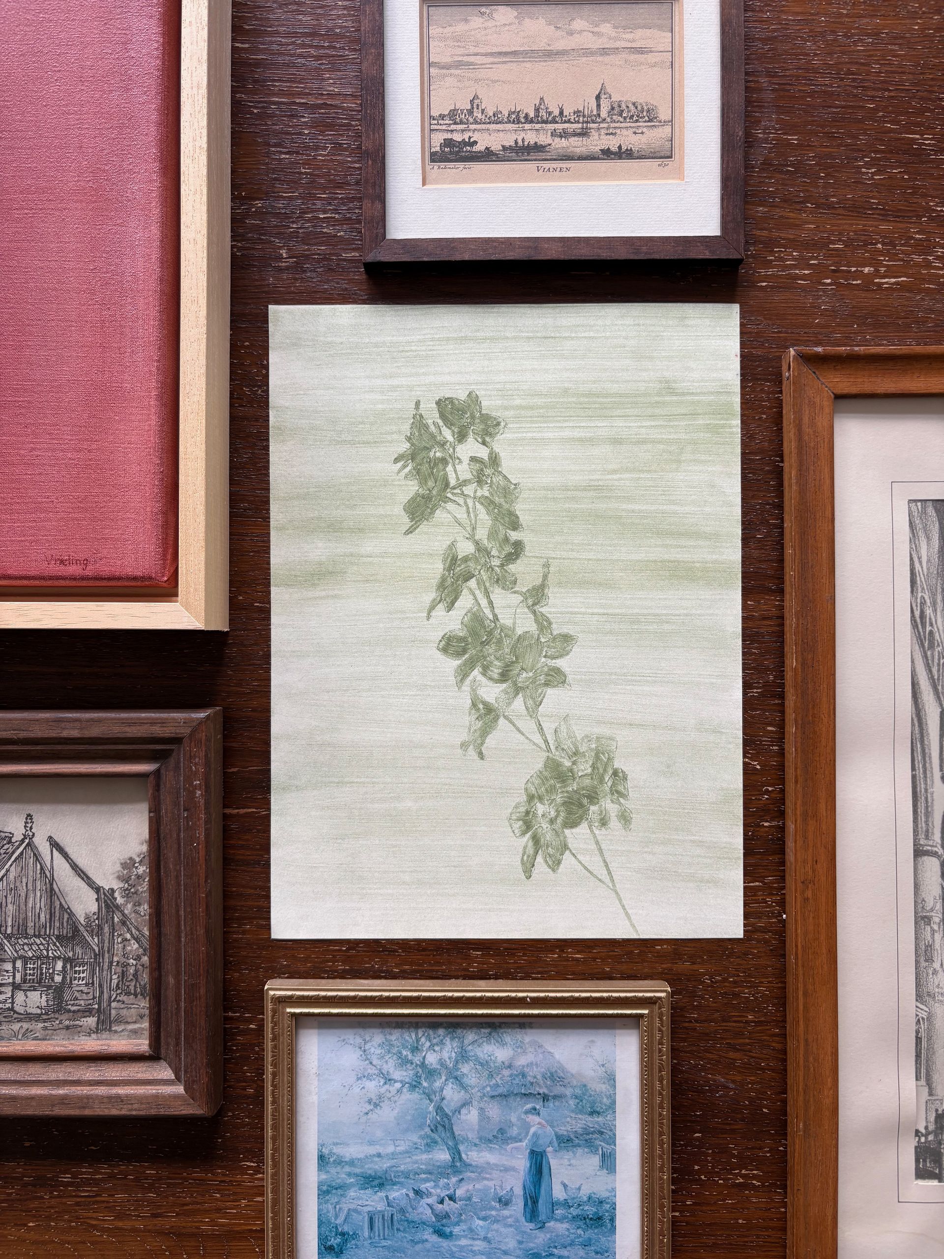 Delphinium Study nr.1