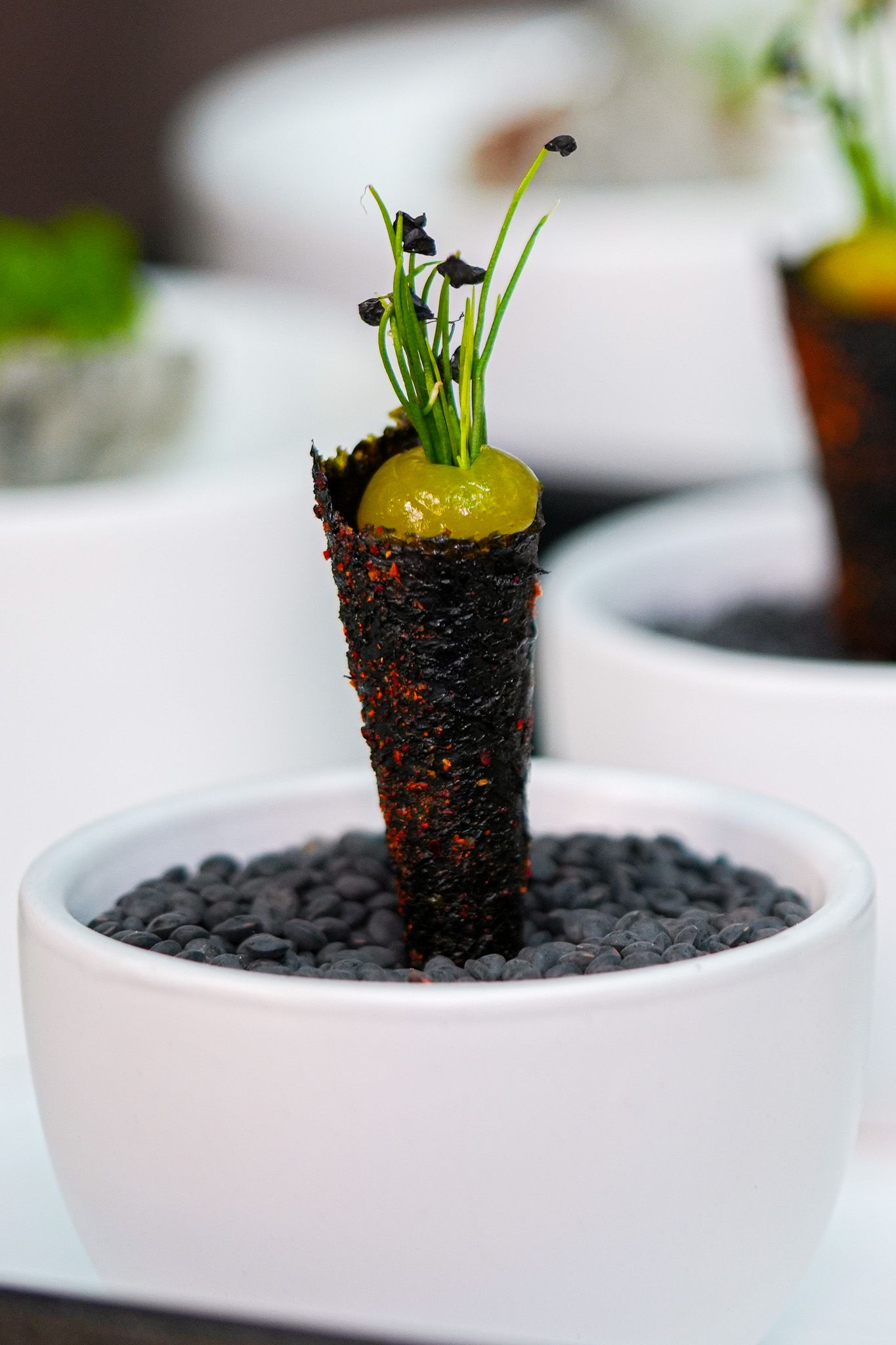 Eine kleine weiße Schüssel mit schwarzem Kies, in der sich ein kegelförmiges Lebensmittel mit grünem Belag und Sprossen befindet.