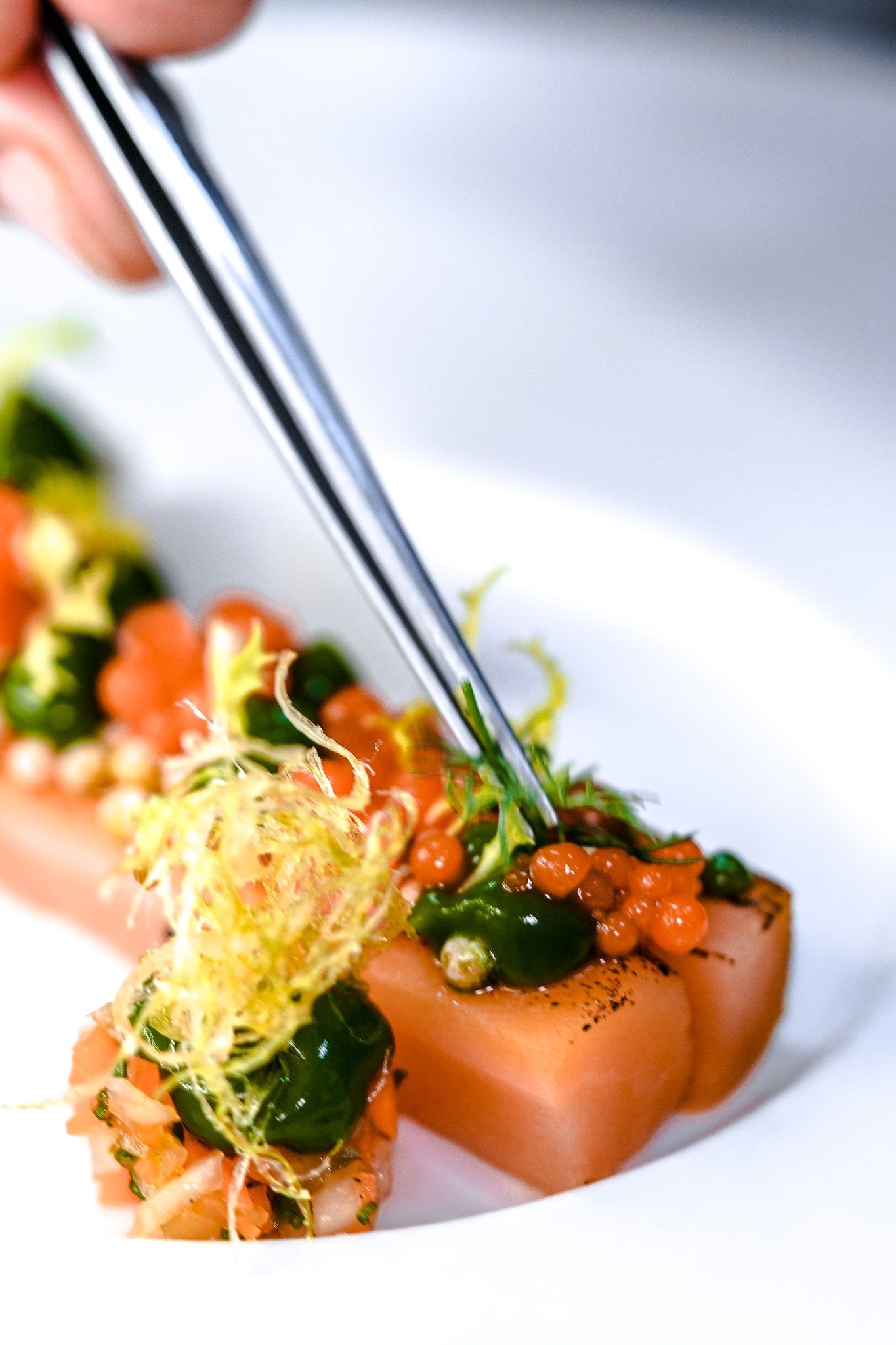 Ein Koch garniert mit einer Pinzette eine Lachs-Vorspeise mit grüner Sauce und Microgreens auf einem weißen Teller.