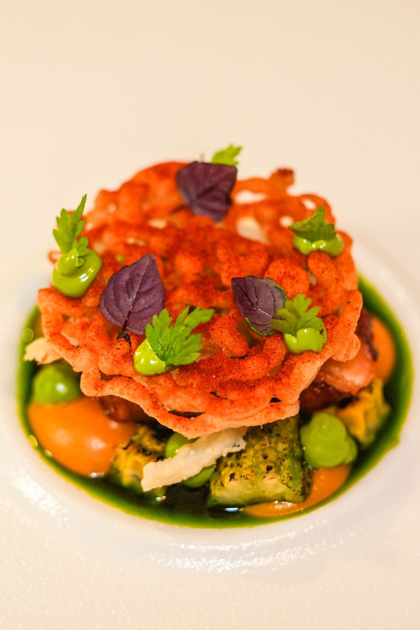 Gourmetgericht: Auf einem weißen Teller geschichtetes Arrangement mit buntem Gemüse, einem roten Chip und grüner Sauce.