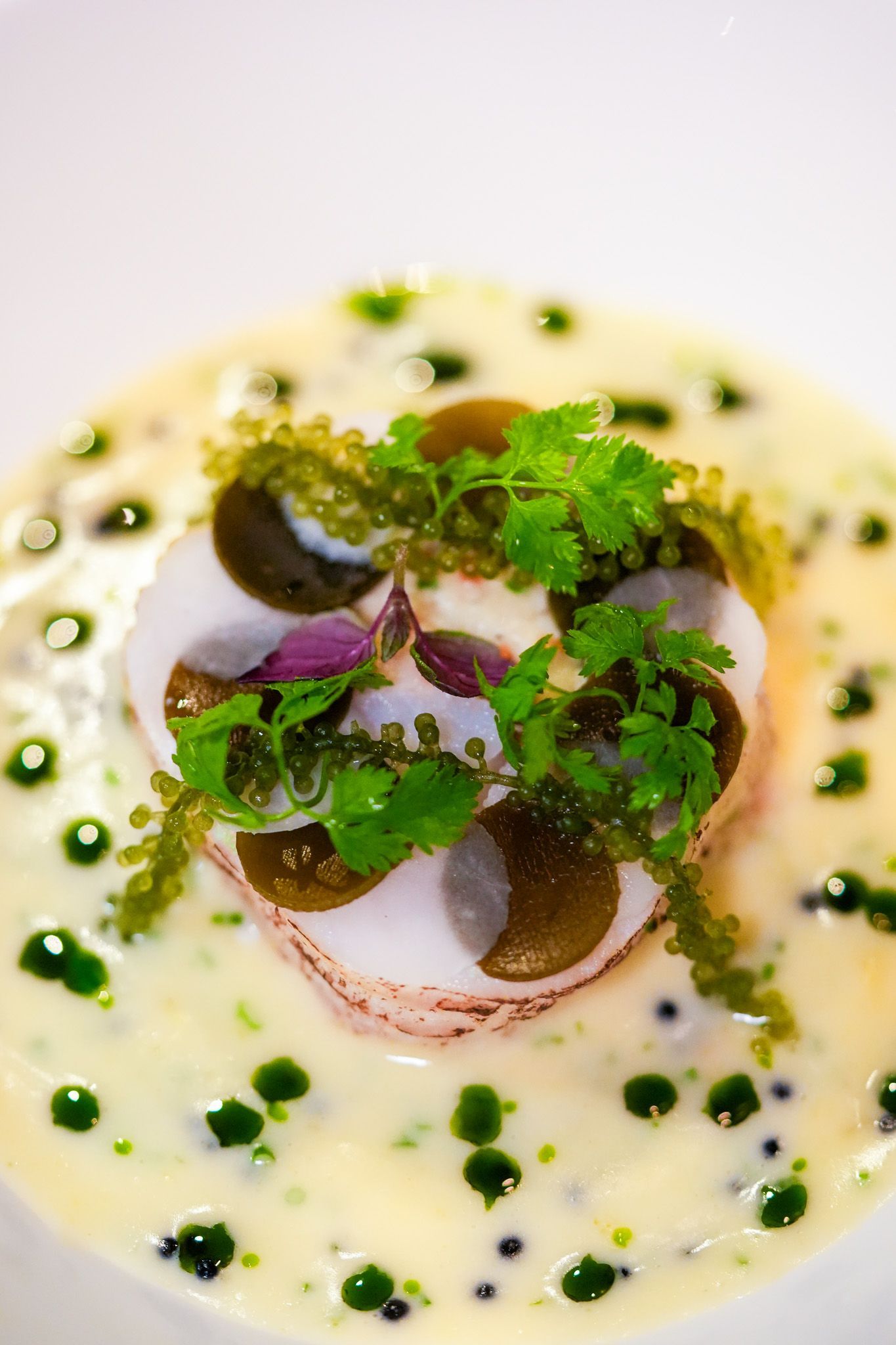 Nahaufnahme eines Gourmetgerichts: Fisch, Algen und Kräuter in einer cremigen Sauce mit grünen Punkten.