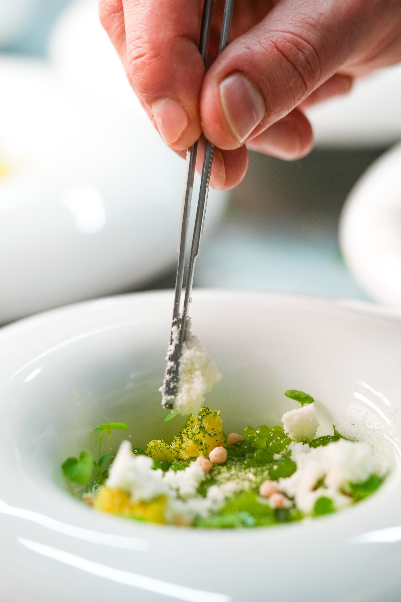 Der Koch garniert eine weiße Schüssel mit Speisen mithilfe einer Pinzette mit kleinen, weißen Stücken.