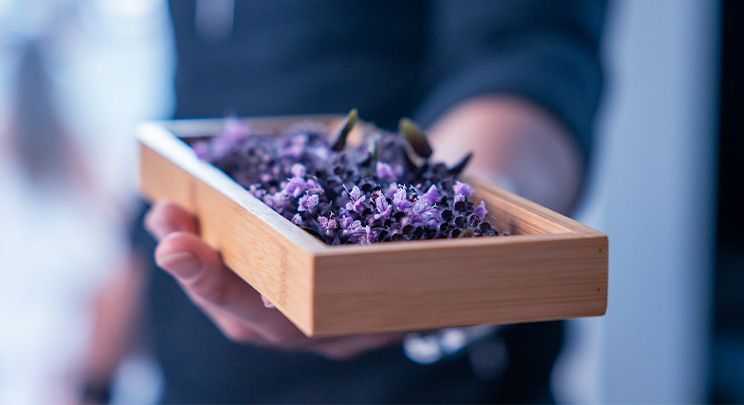 Eine Person hält ein Holztablett voller lila Blumen.