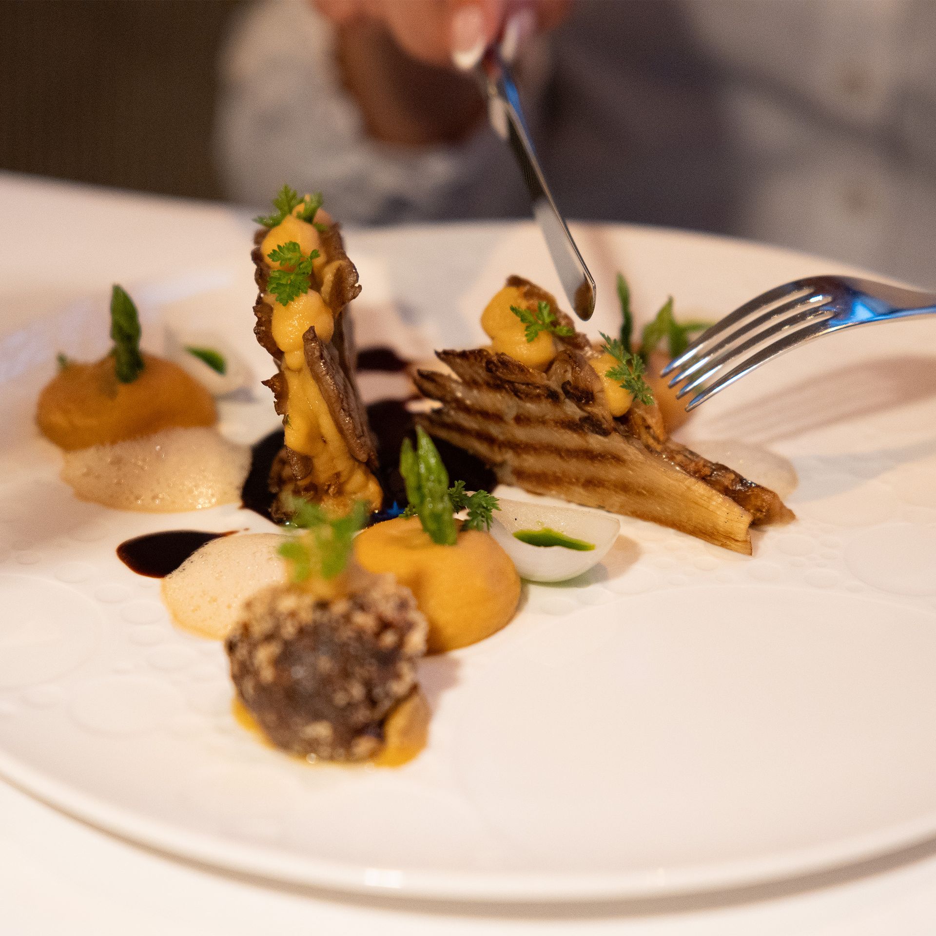 Nahaufnahme eines Tellers mit Gourmetgerichten, der mit Messer und Gabel gegessen wird. Weißer Teller, heller Hintergrund.