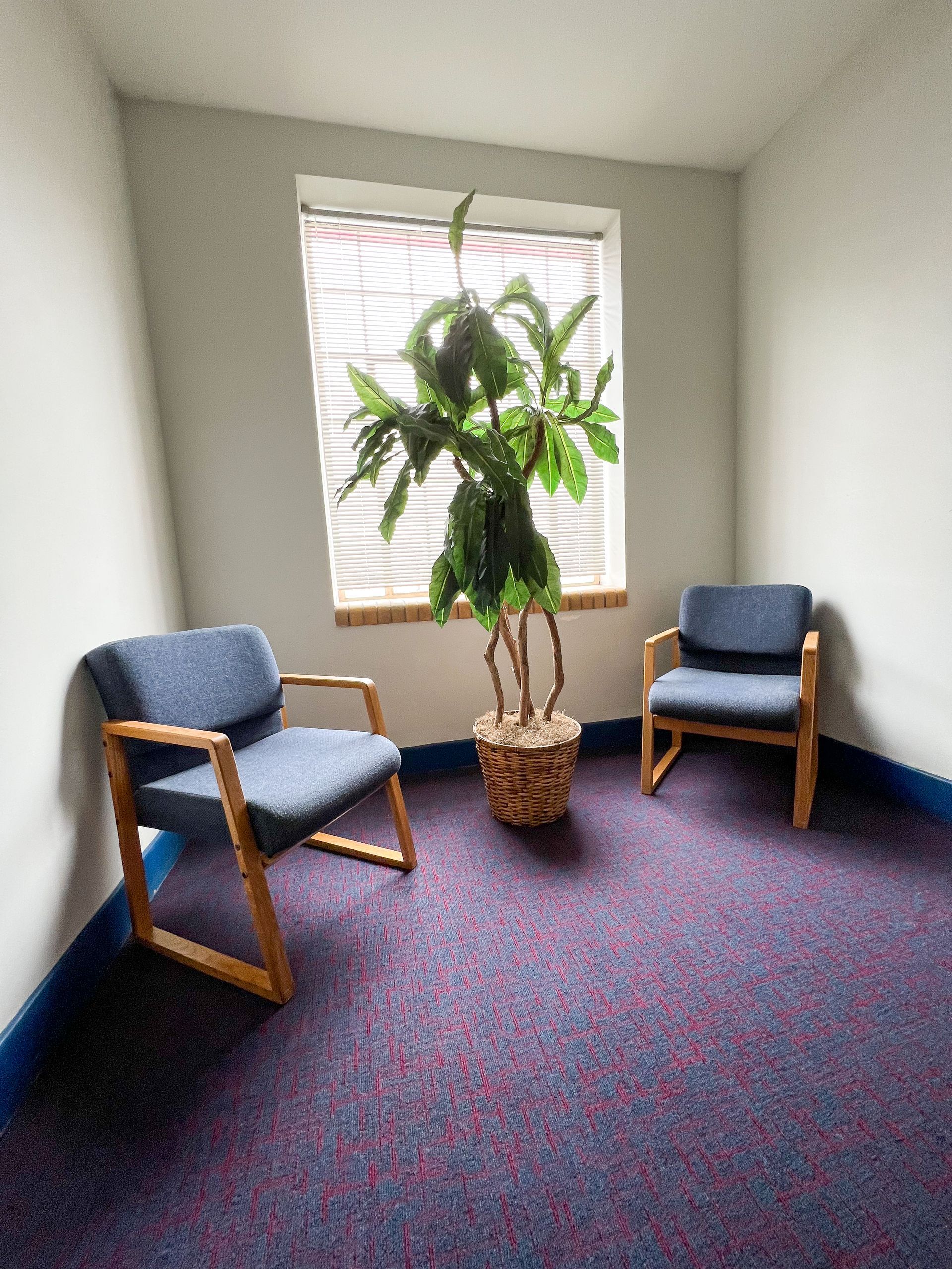 A room with two chairs and a potted plant in front of a window.