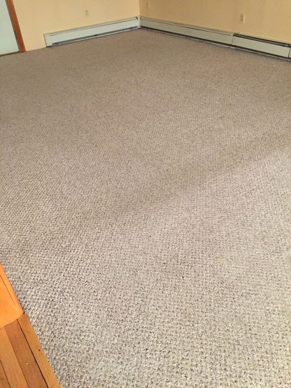 A large carpeted floor in a living room with a wooden floor.