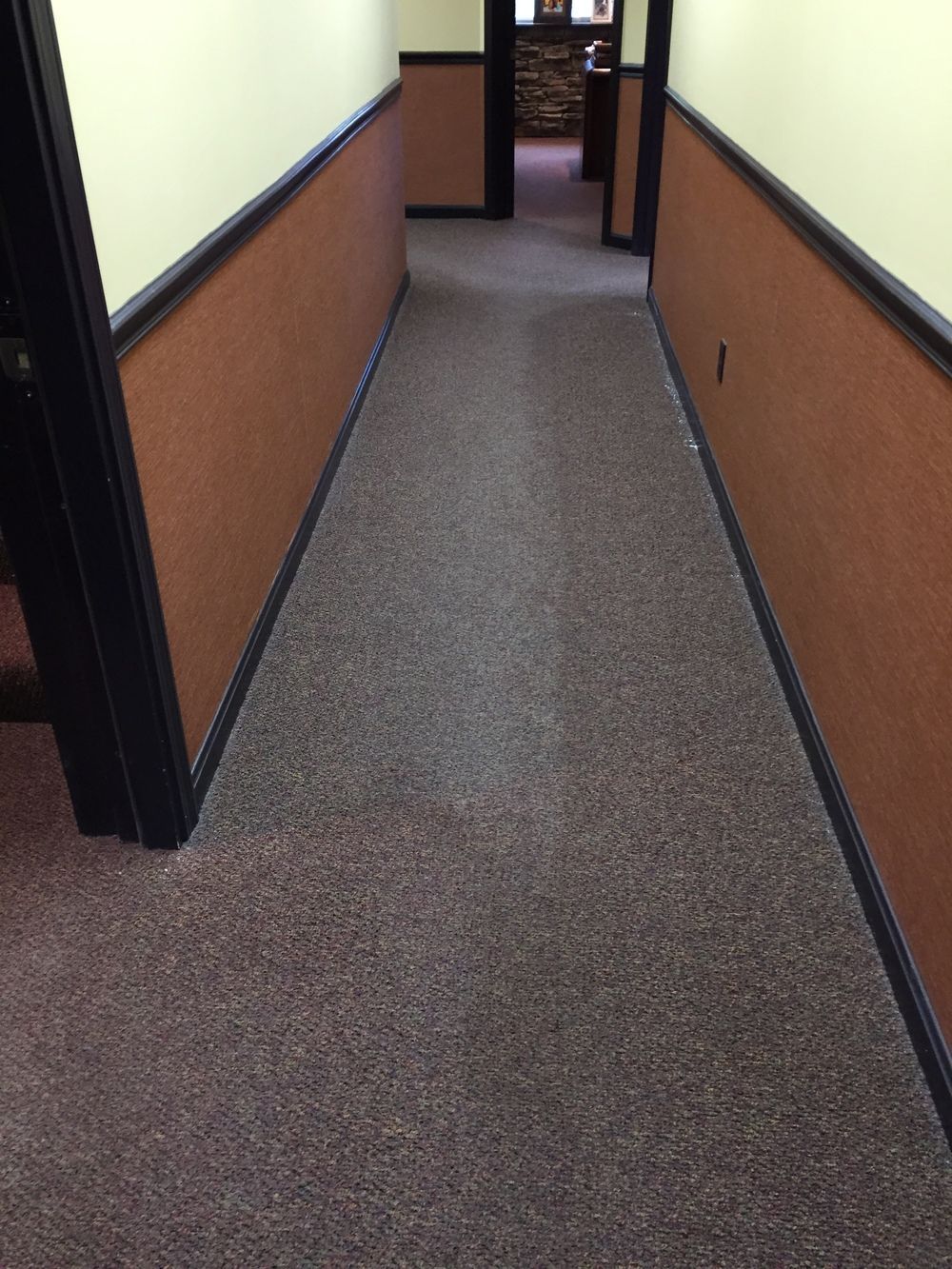 A hallway with brown walls and a brown carpet
