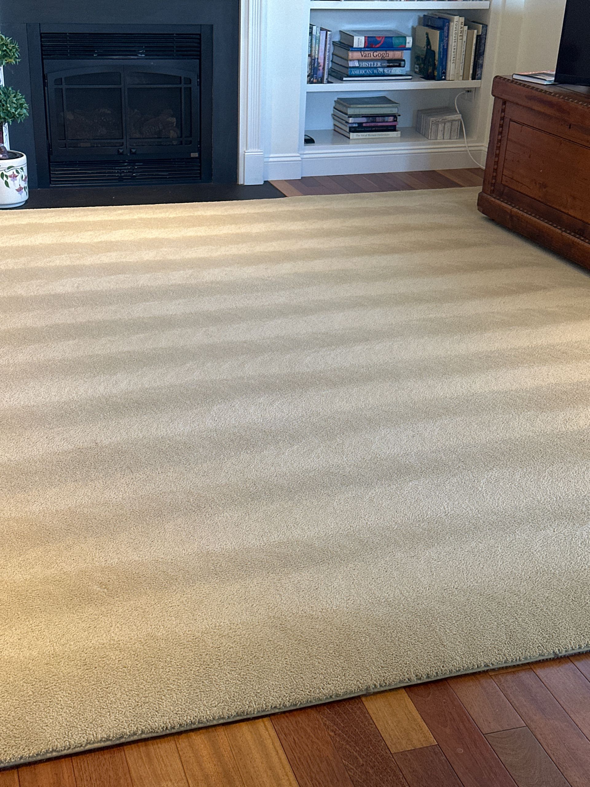 A living room with a fireplace and a rug on the floor.