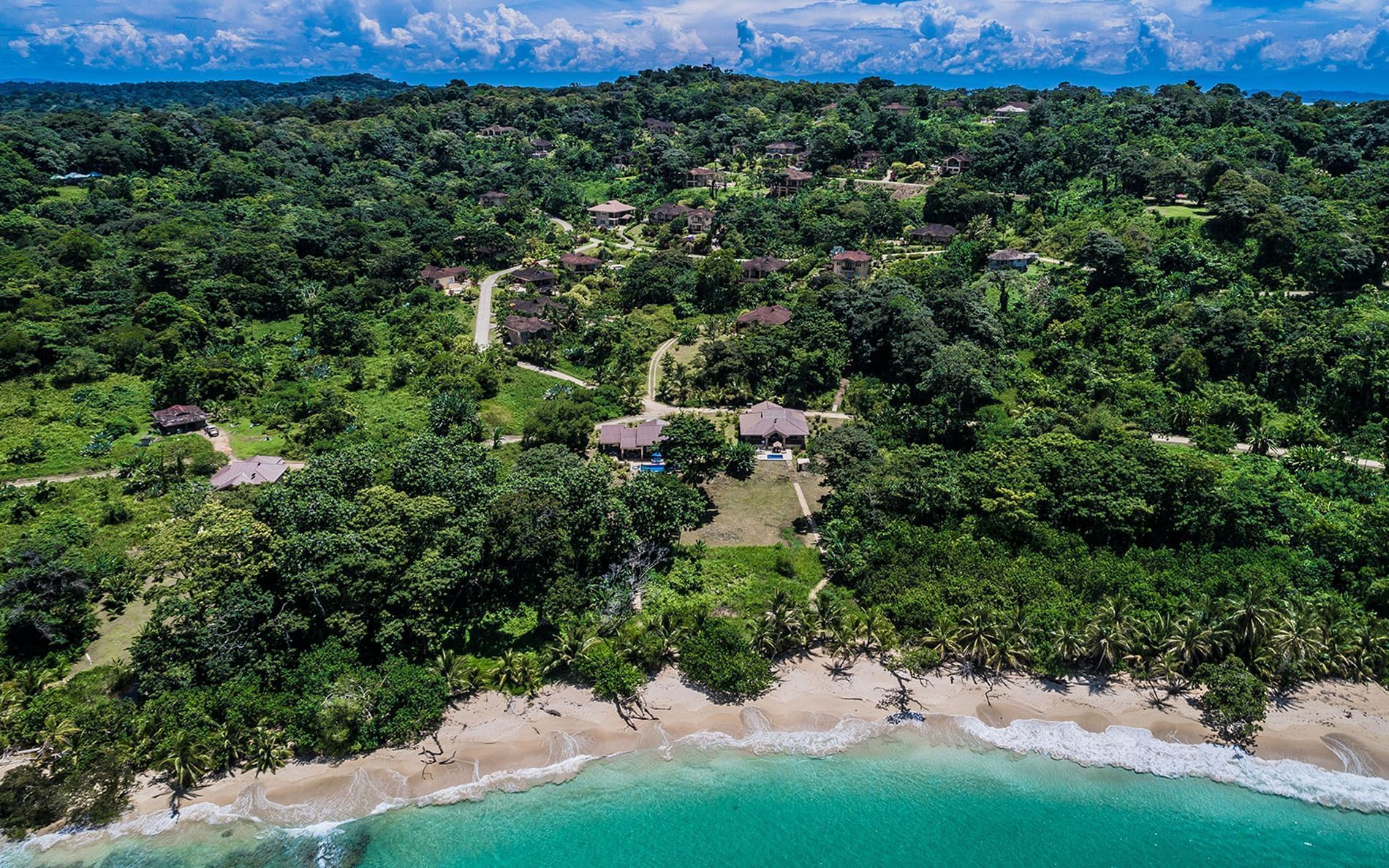 An aerial view of a beach surrounded by trees and a body of water.